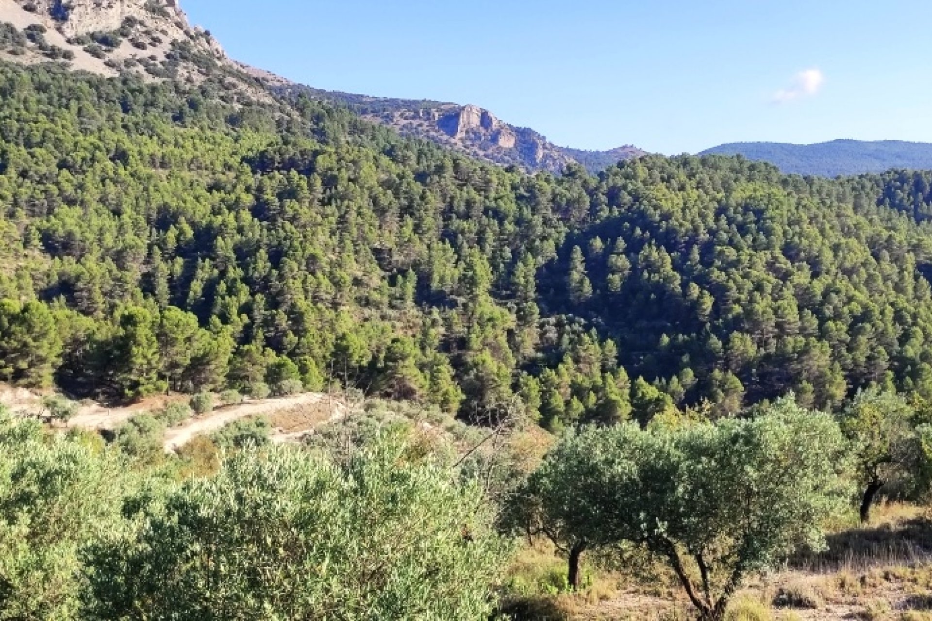 Reventa - Country House - Benasau