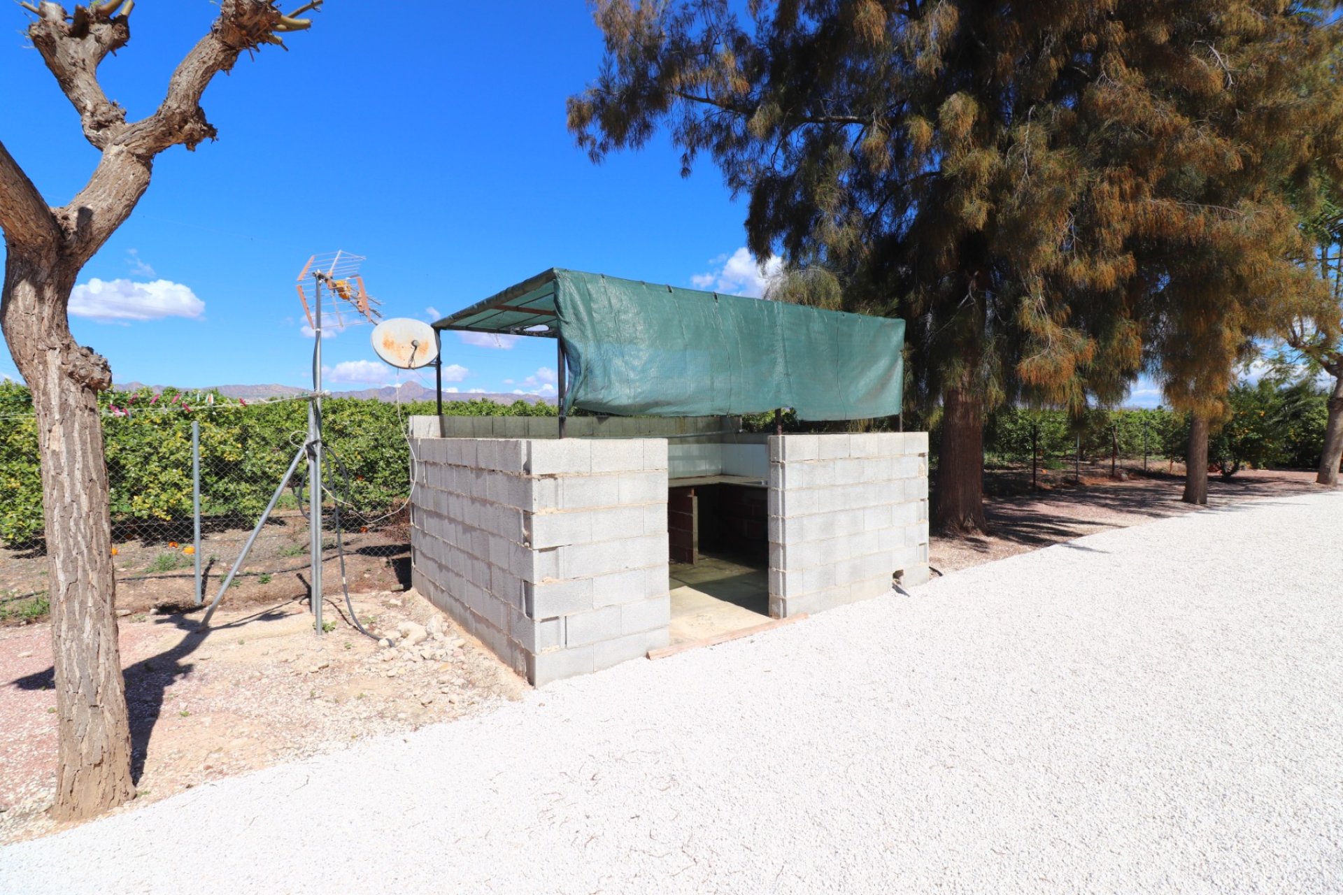 Reventa - Country House - Callosa de Segura - Callosa de Segura - Country