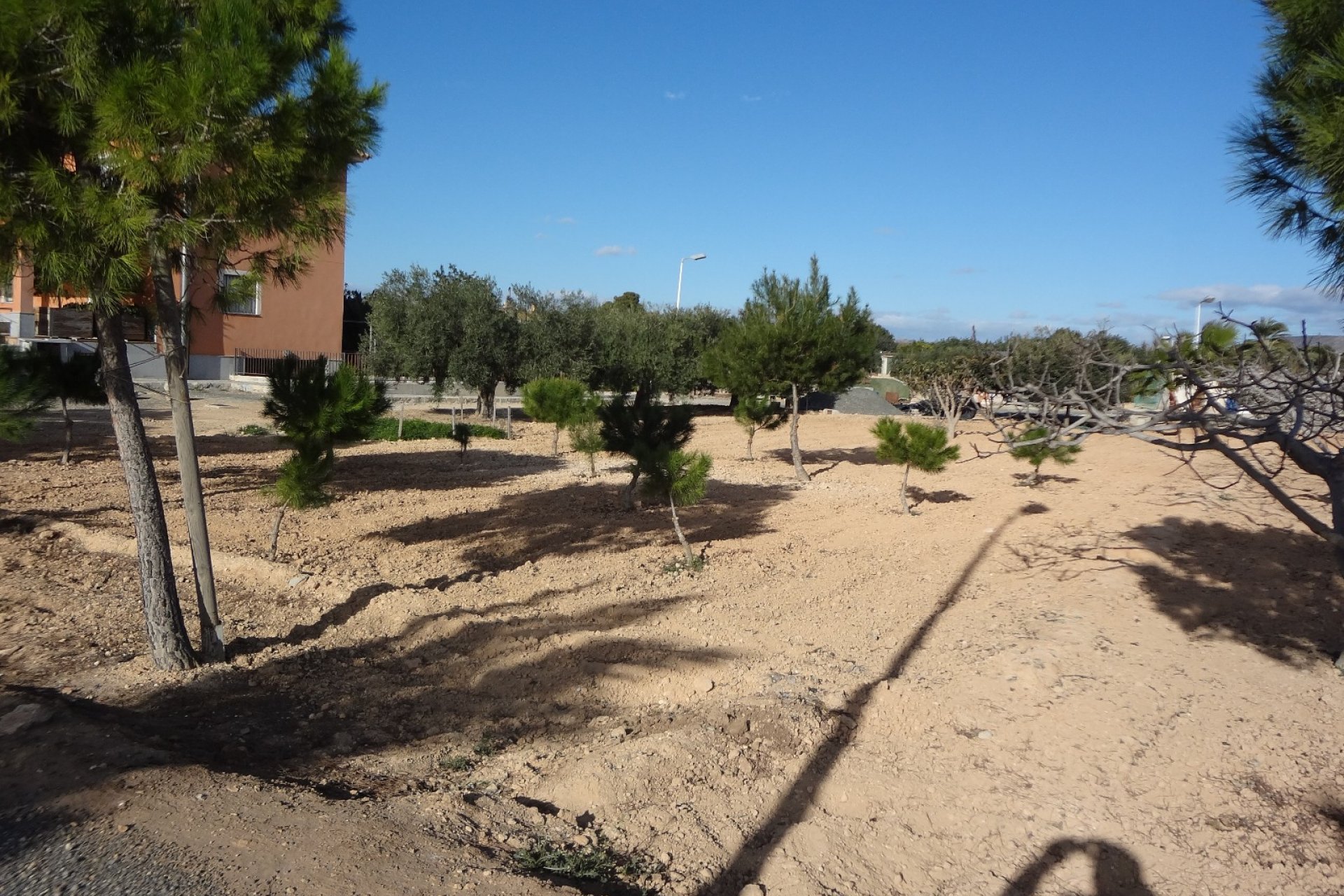 Reventa - Country House - El Altet