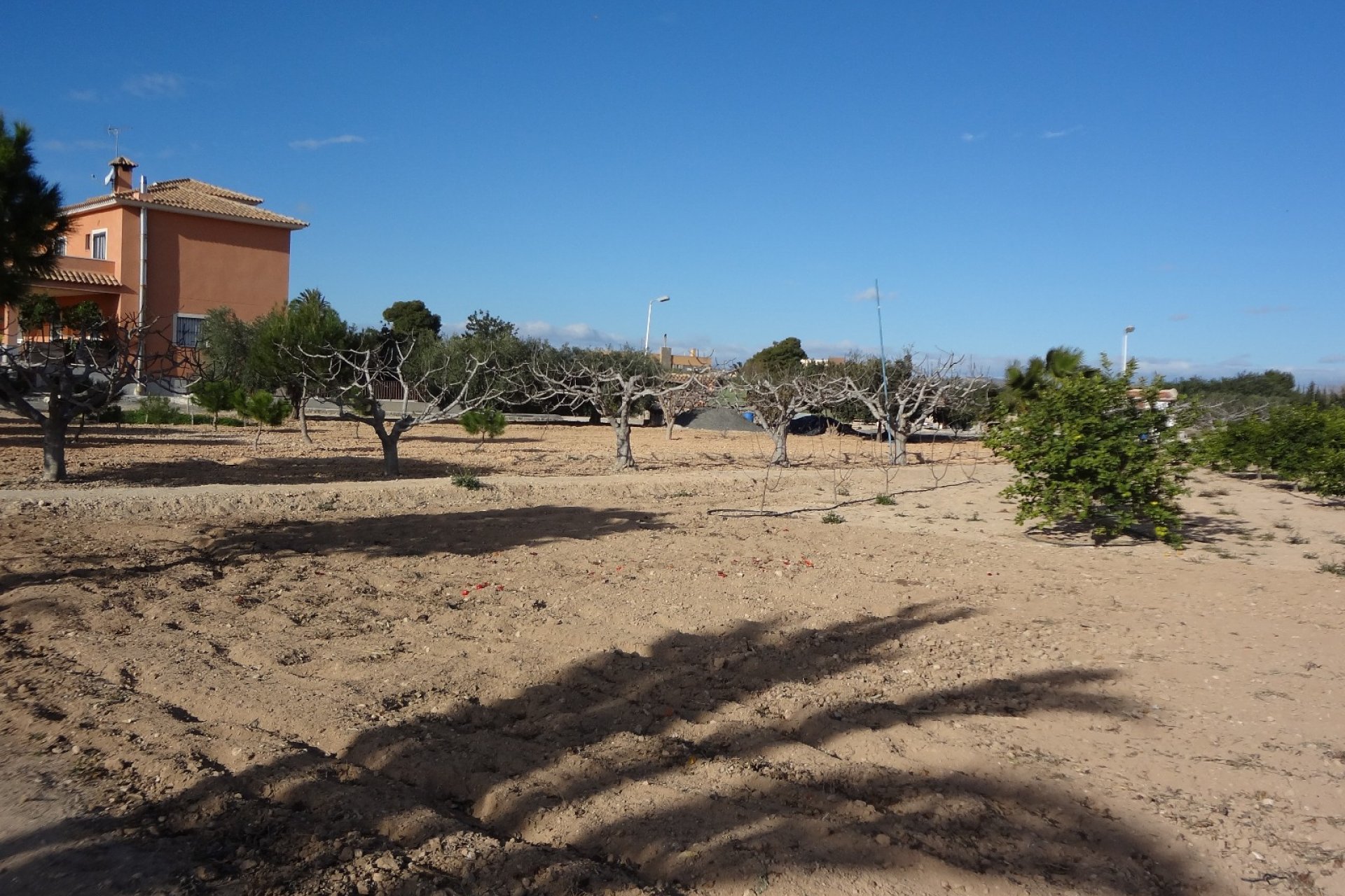 Reventa - Country House - El Altet