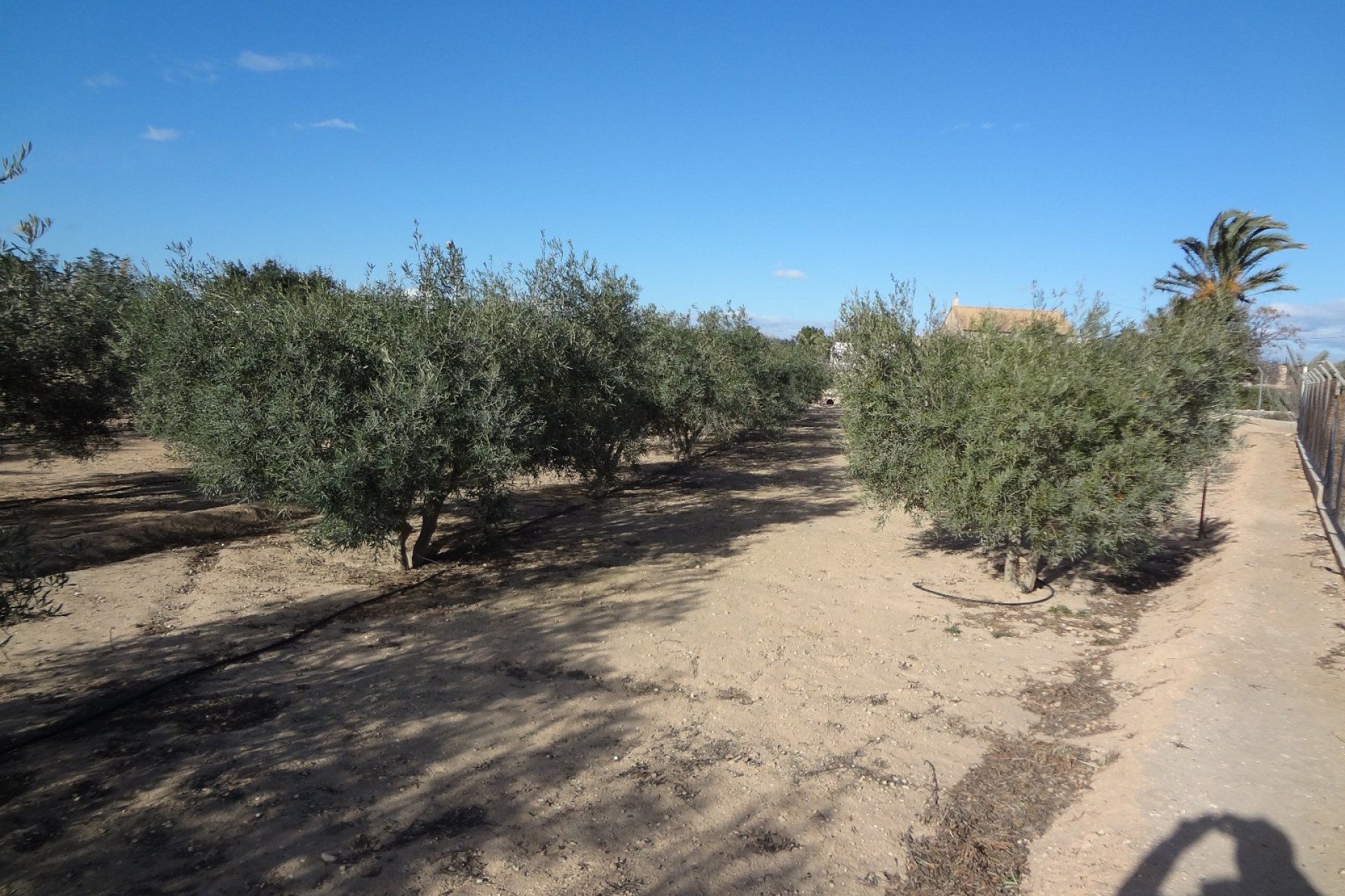 Reventa - Country House - El Altet