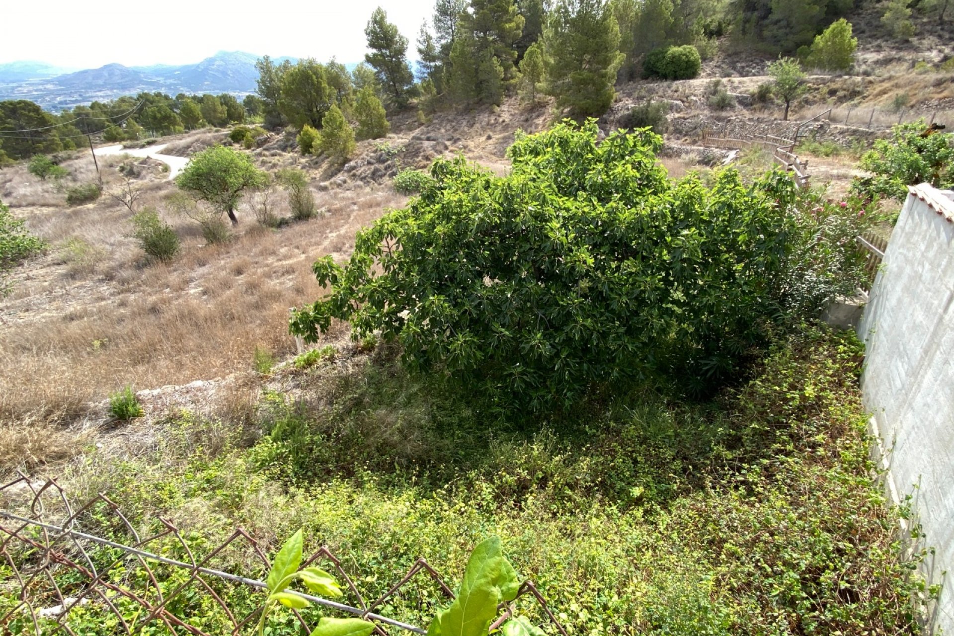 Reventa - Country House - Elda