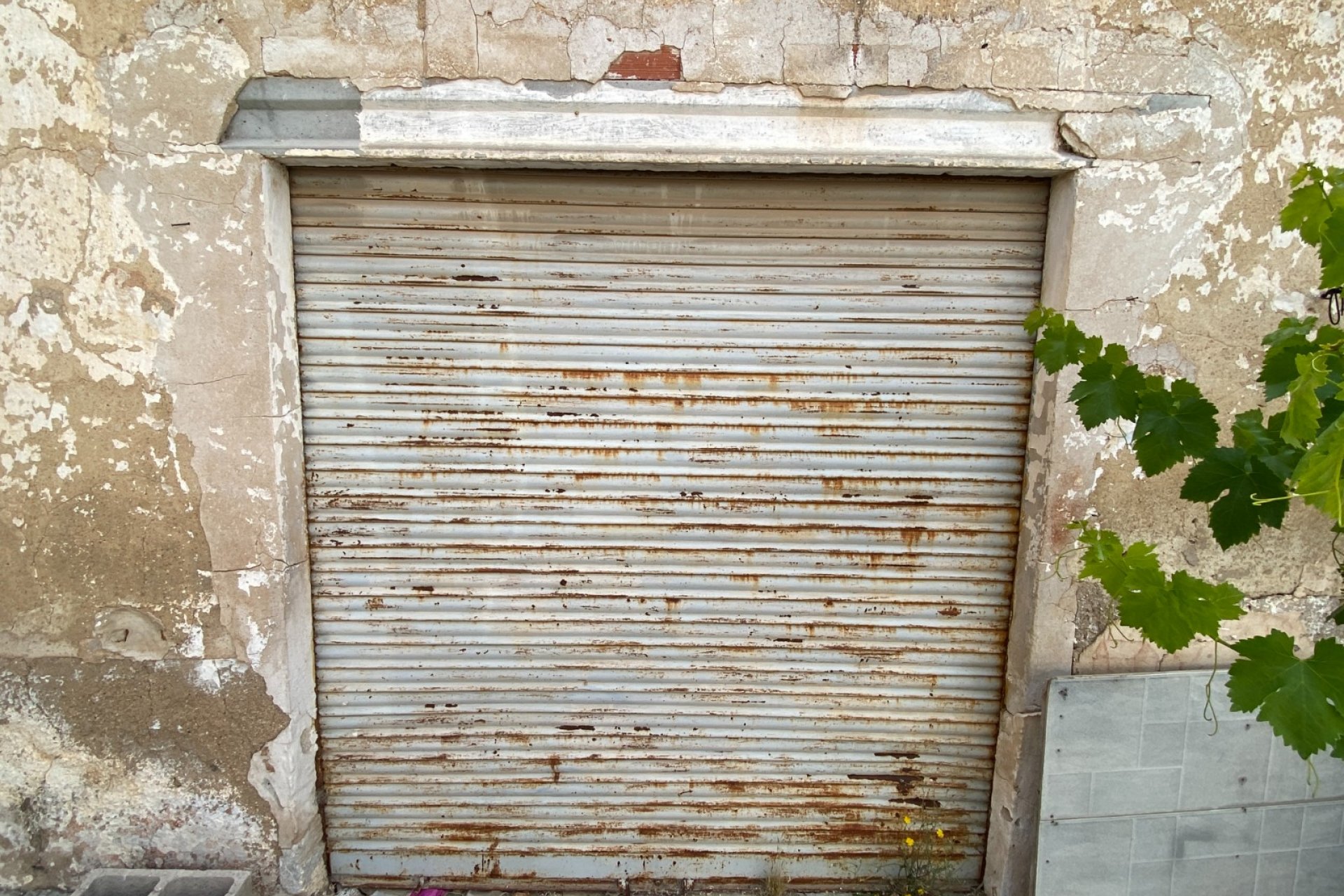 Reventa - Country House - Elda