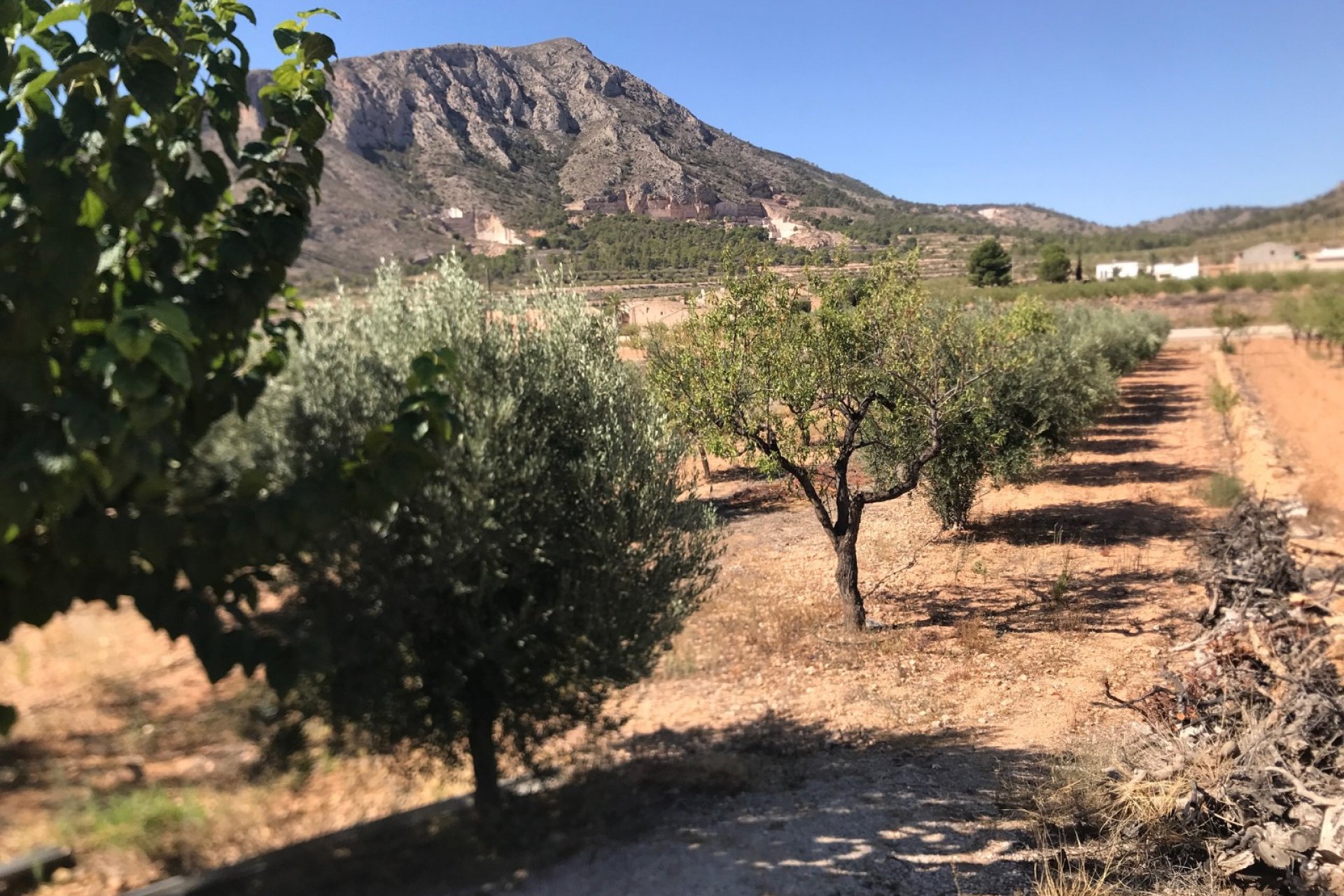 Reventa - Country House - Hondón de los Fráiles - Hamlet of El Canton