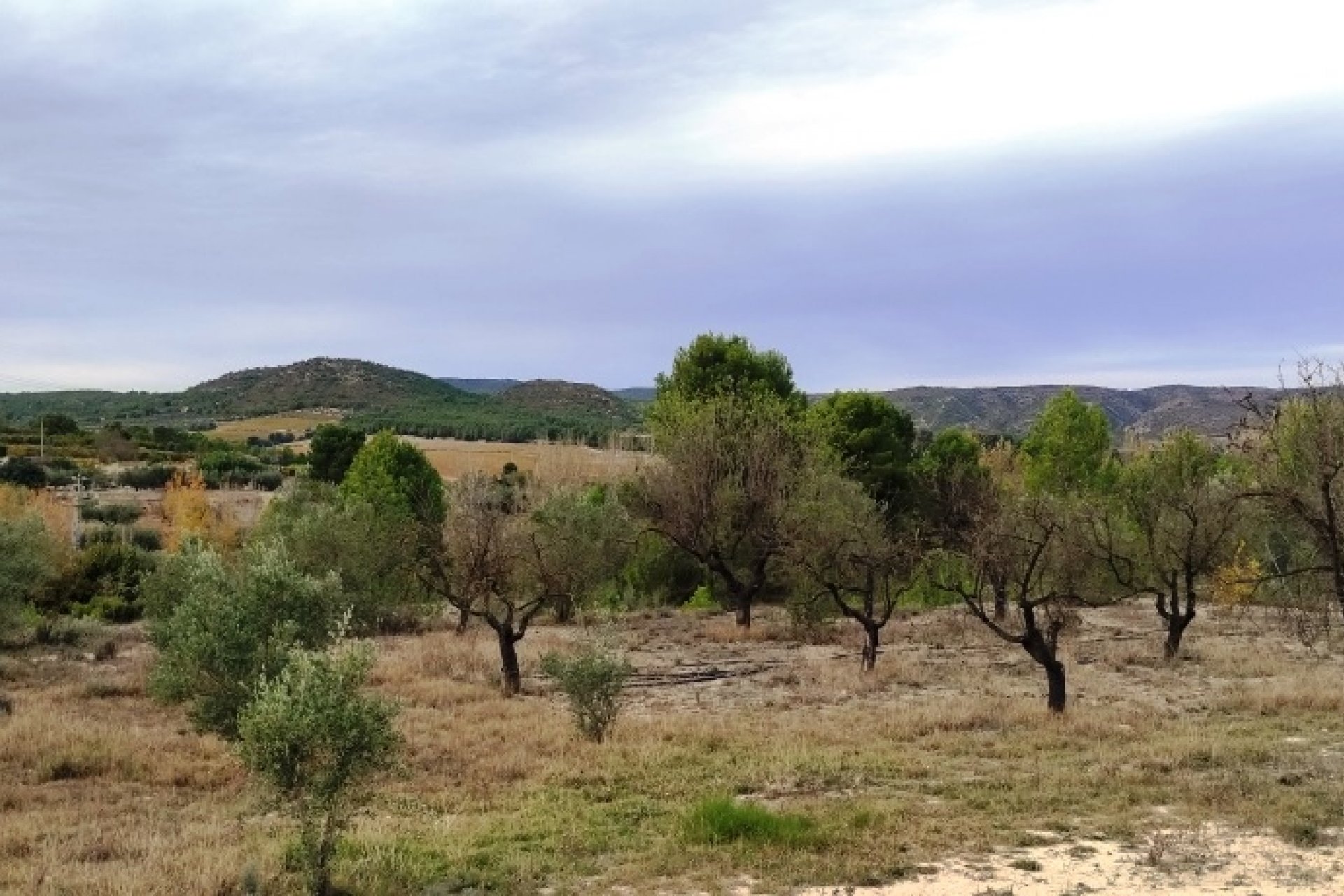 Reventa - Country House - Ontinyent