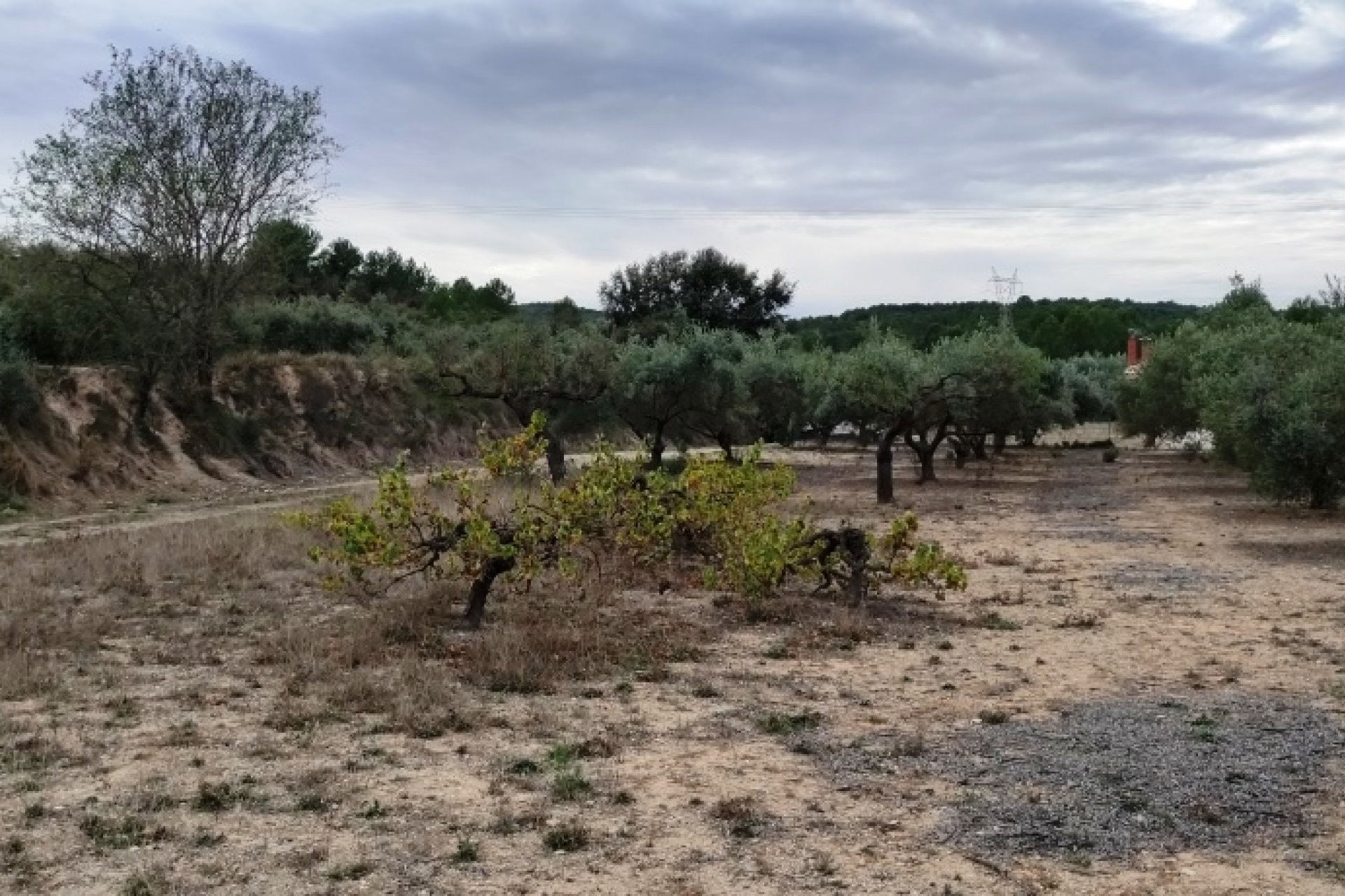 Reventa - Country House - Ontinyent