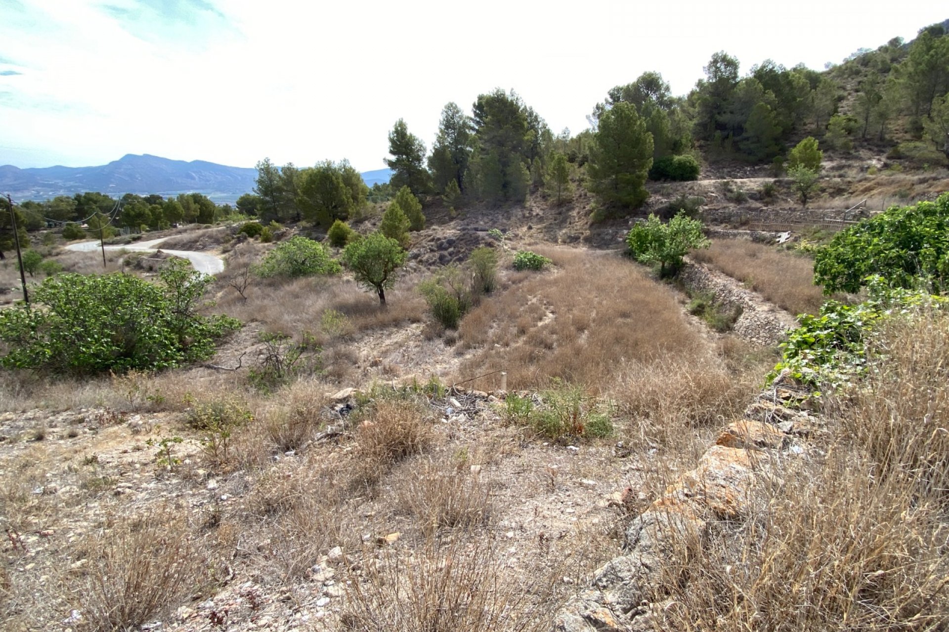 Reventa - Finca/Rustic Property - Elda