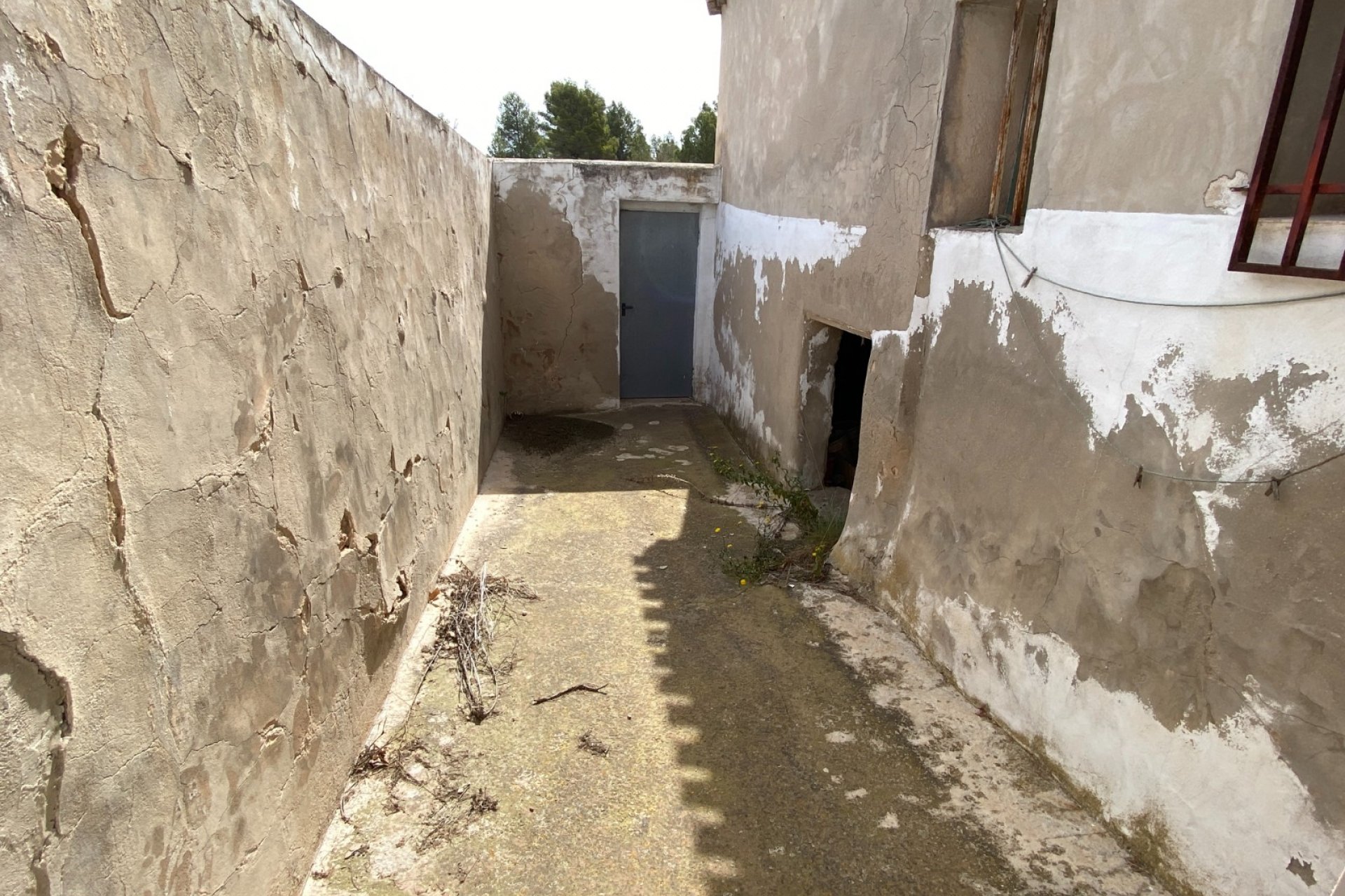 Reventa - Finca/Rustic Property - Elda