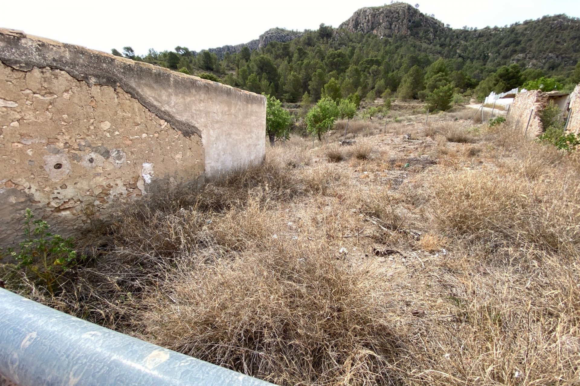 Reventa - Finca/Rustic Property - Elda