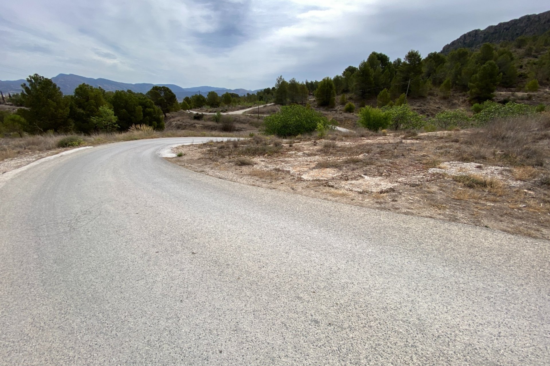 Reventa - Finca/Rustic Property - Elda