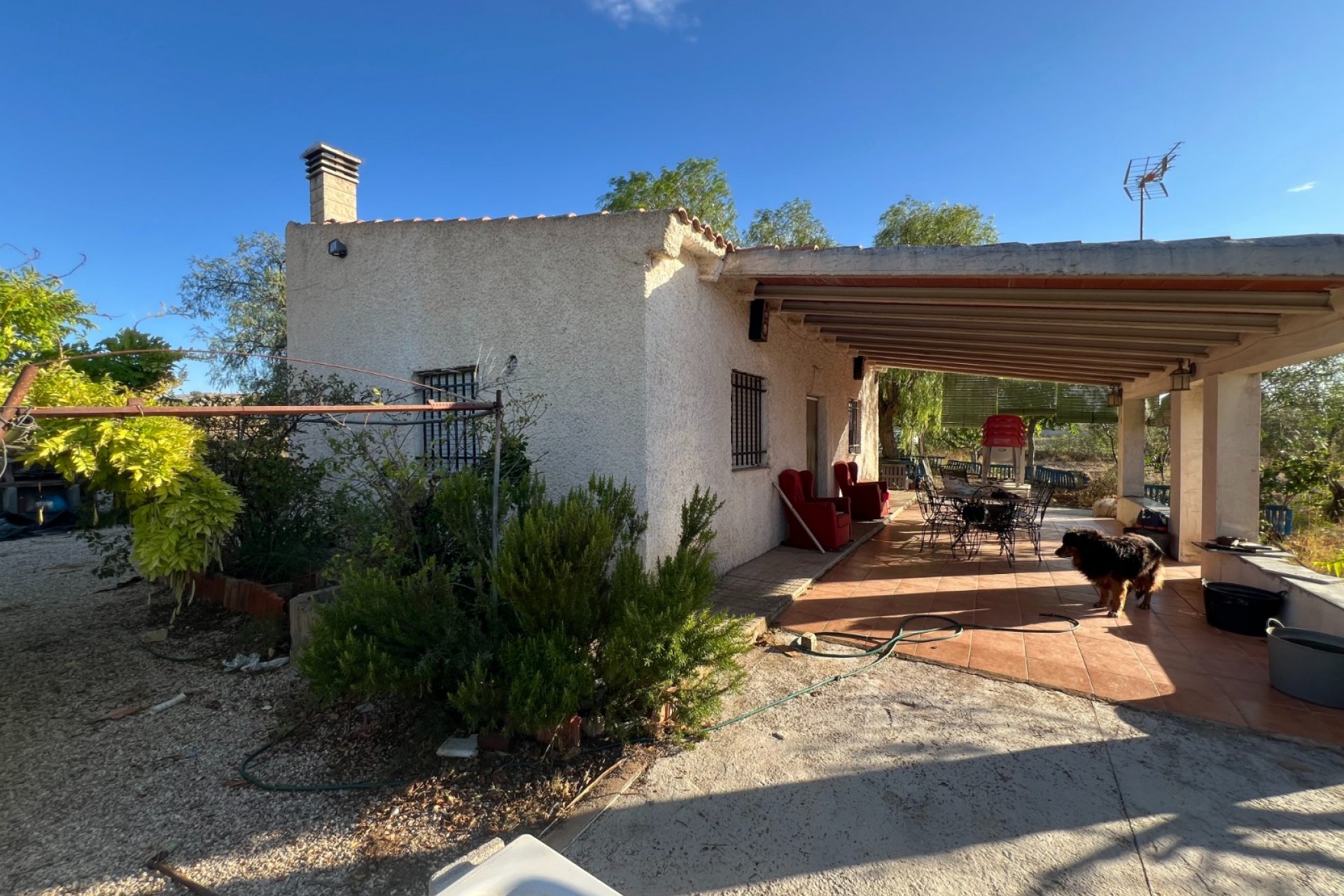 Reventa - Finca/Rustic Property - Sax