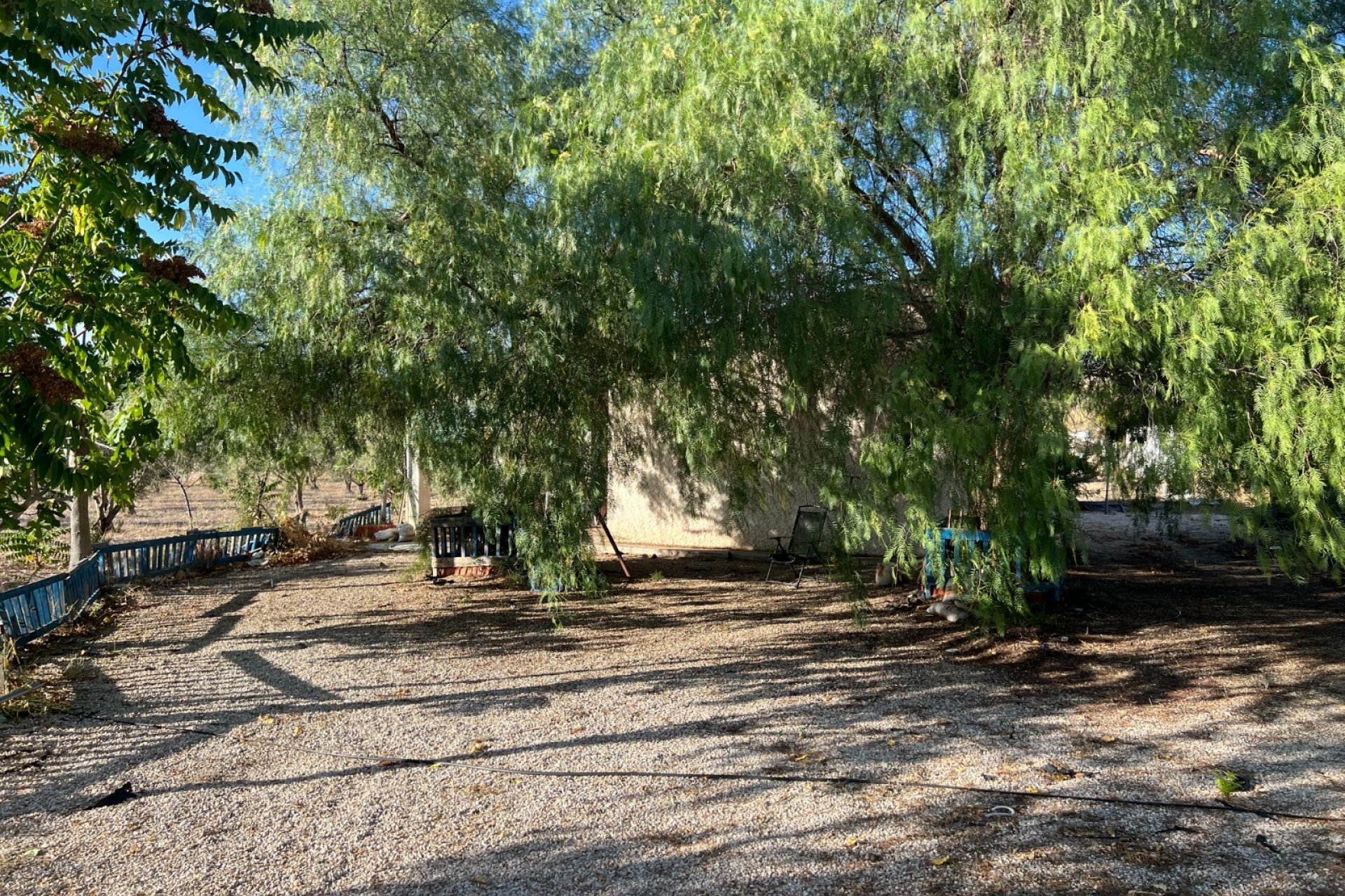 Reventa - Finca/Rustic Property - Sax