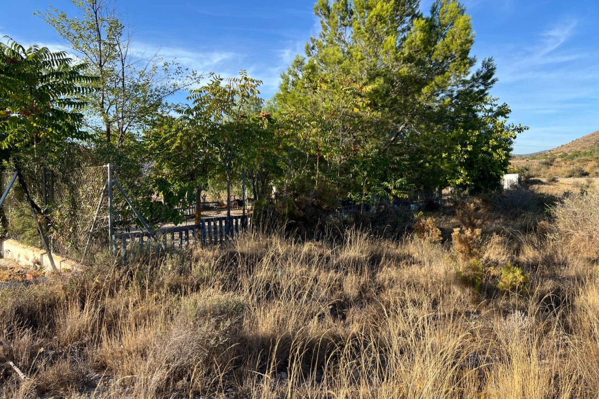 Reventa - Finca/Rustic Property - Sax