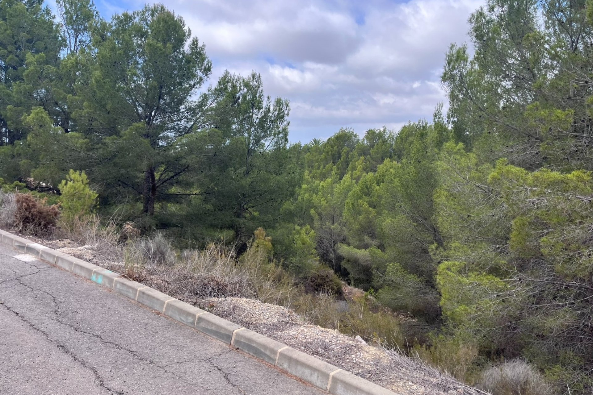 Reventa - Land - Altea - Sierra de Altea