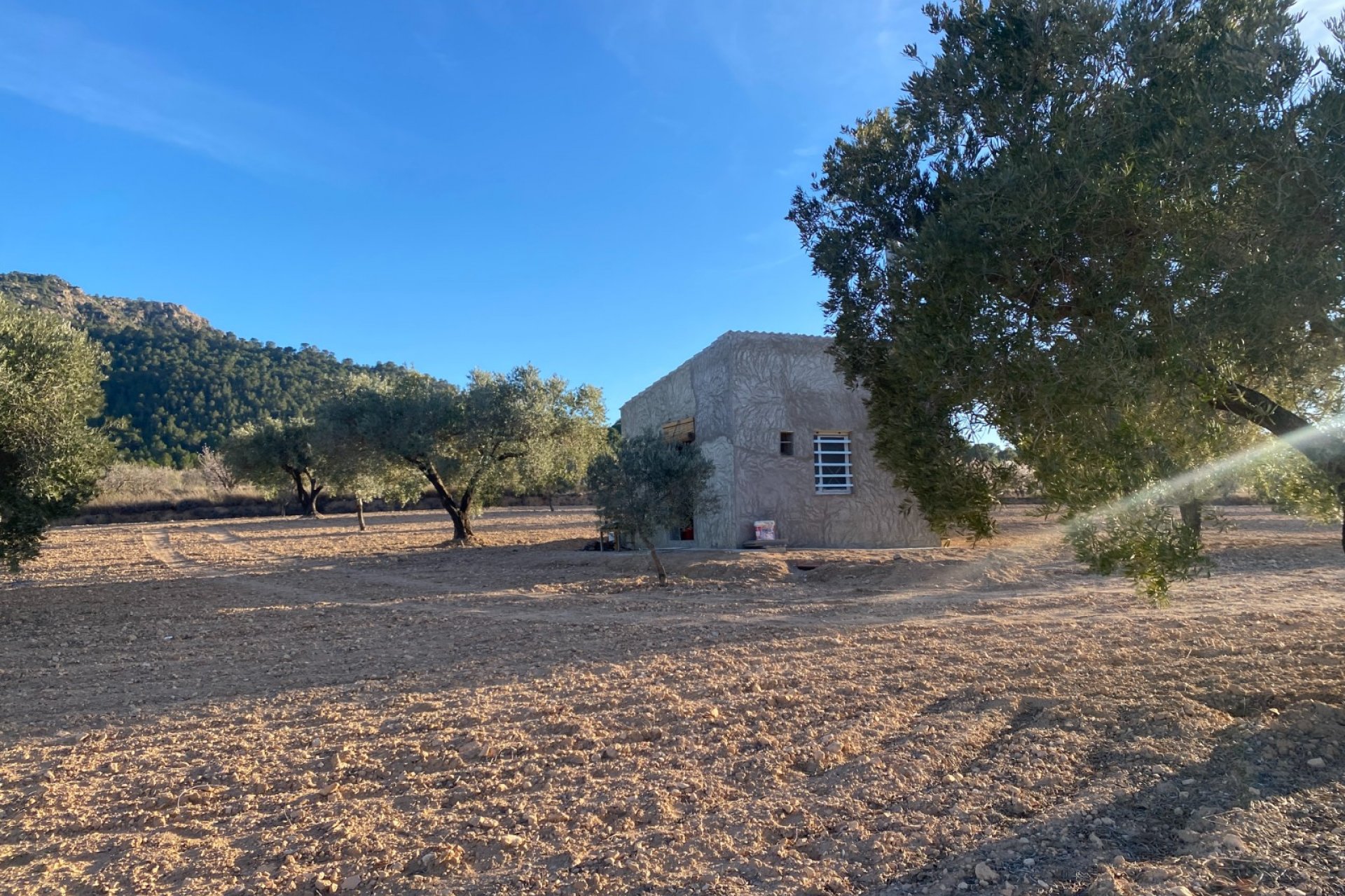 Reventa - Land - Elda