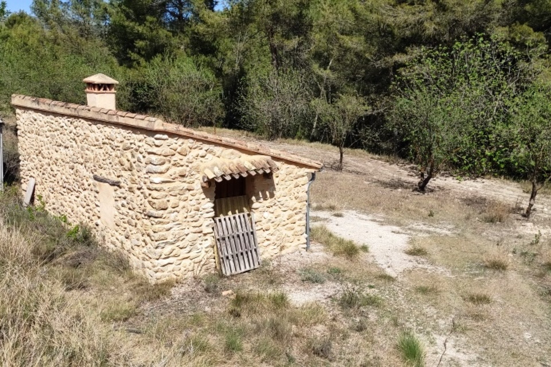Reventa - Land - Penáguila