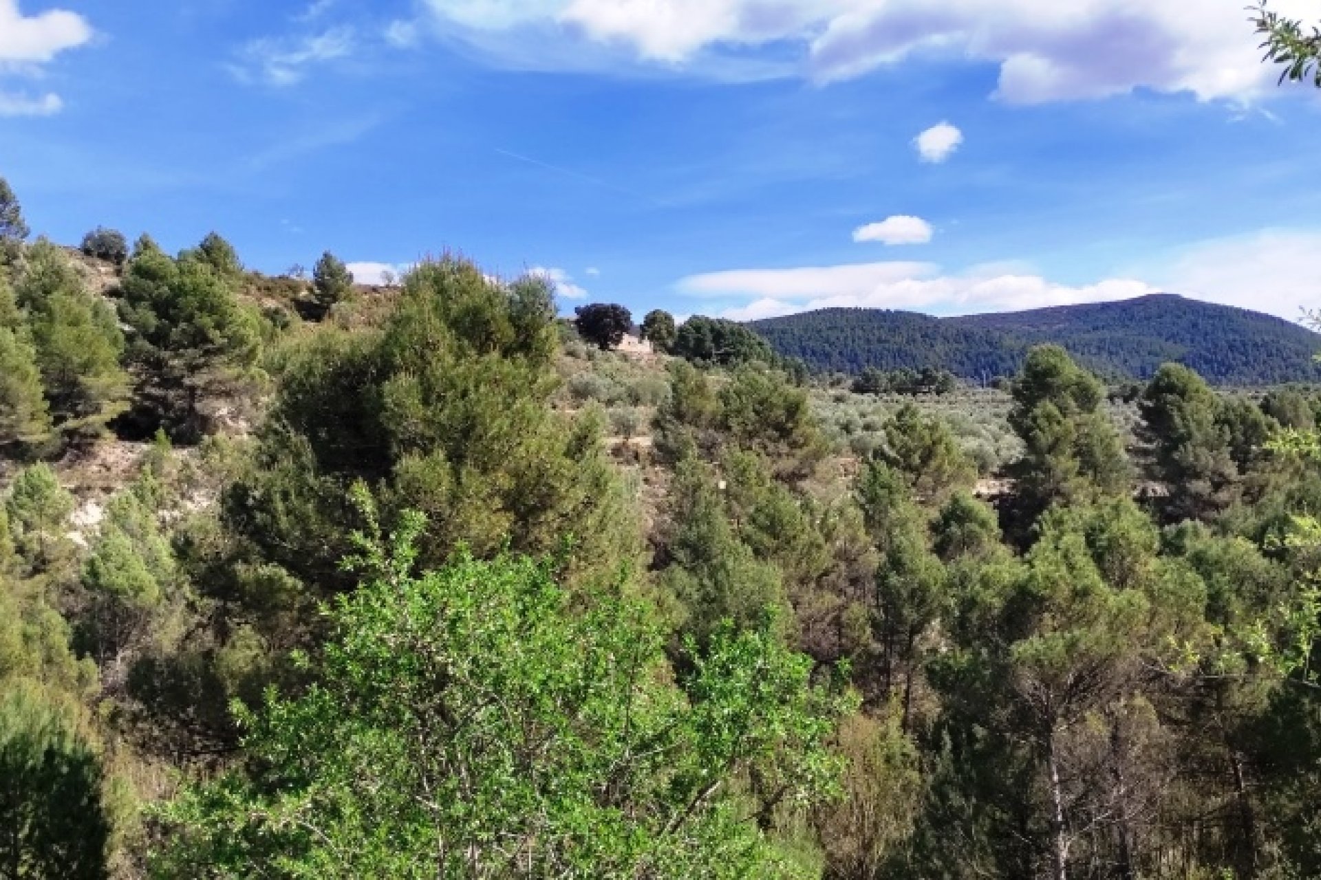 Reventa - Land - Penáguila