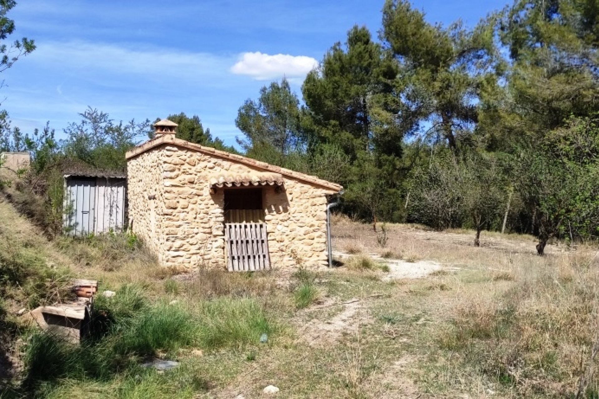Reventa - Land - Penáguila