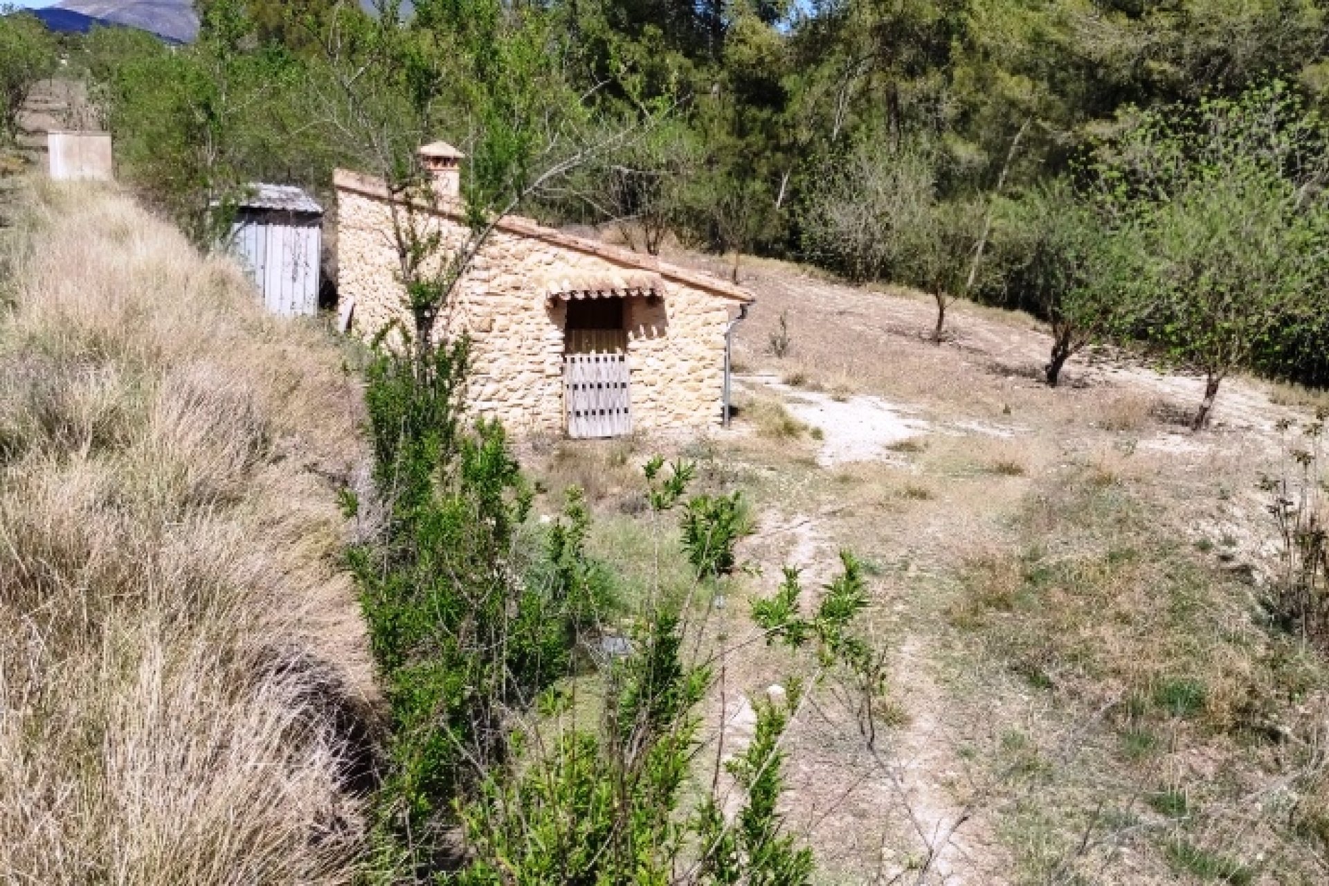 Reventa - Land - Penáguila