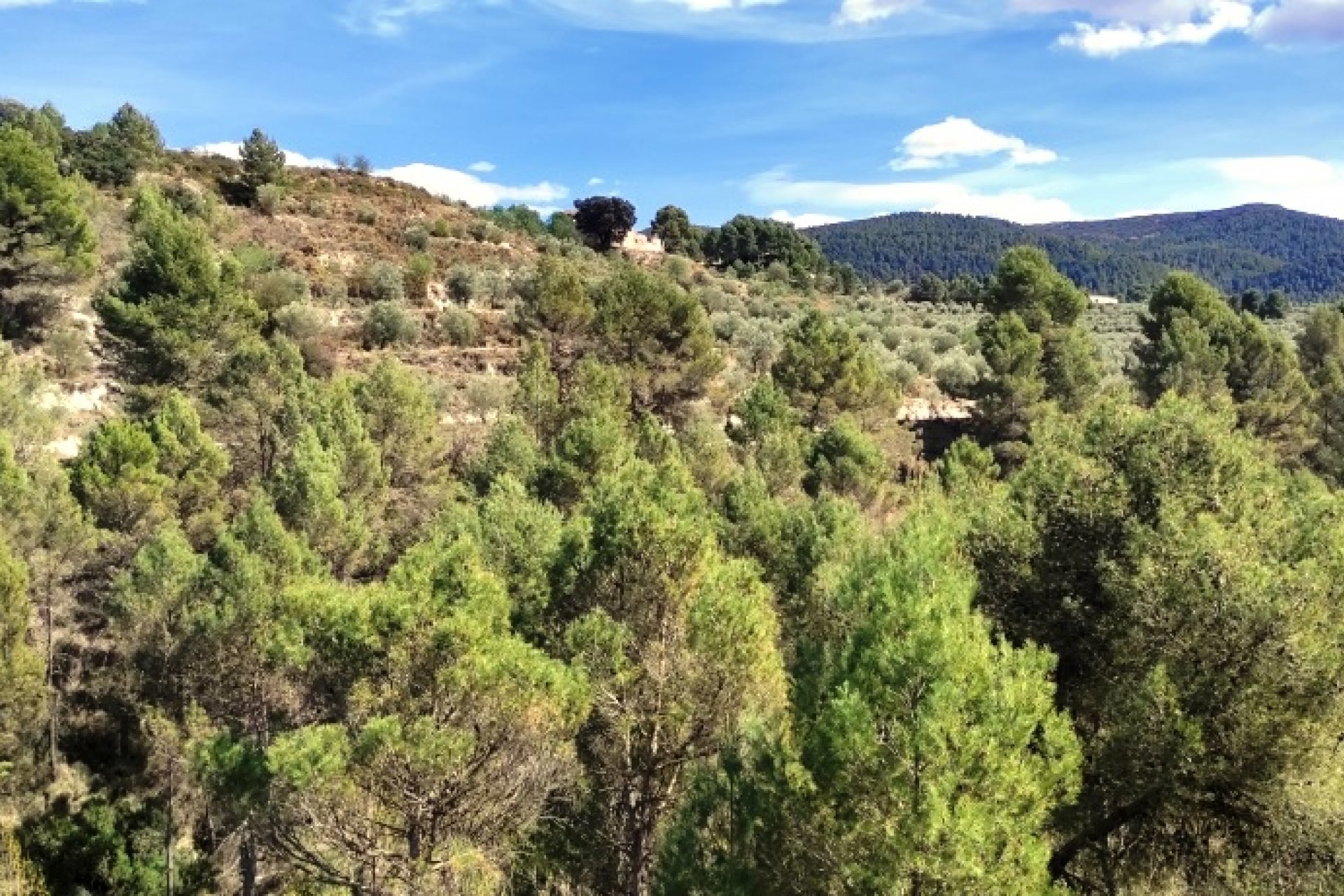 Reventa - Land - Penáguila