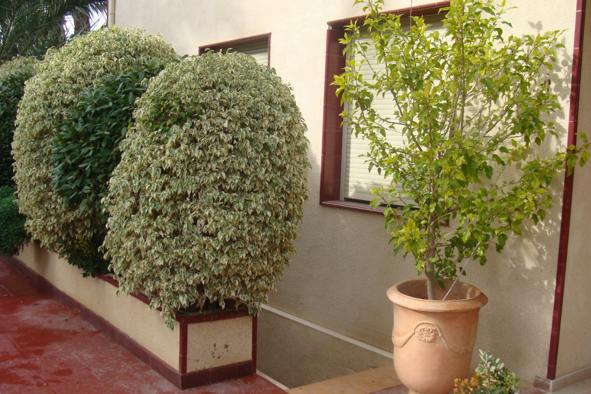 Reventa - Villa - Elche