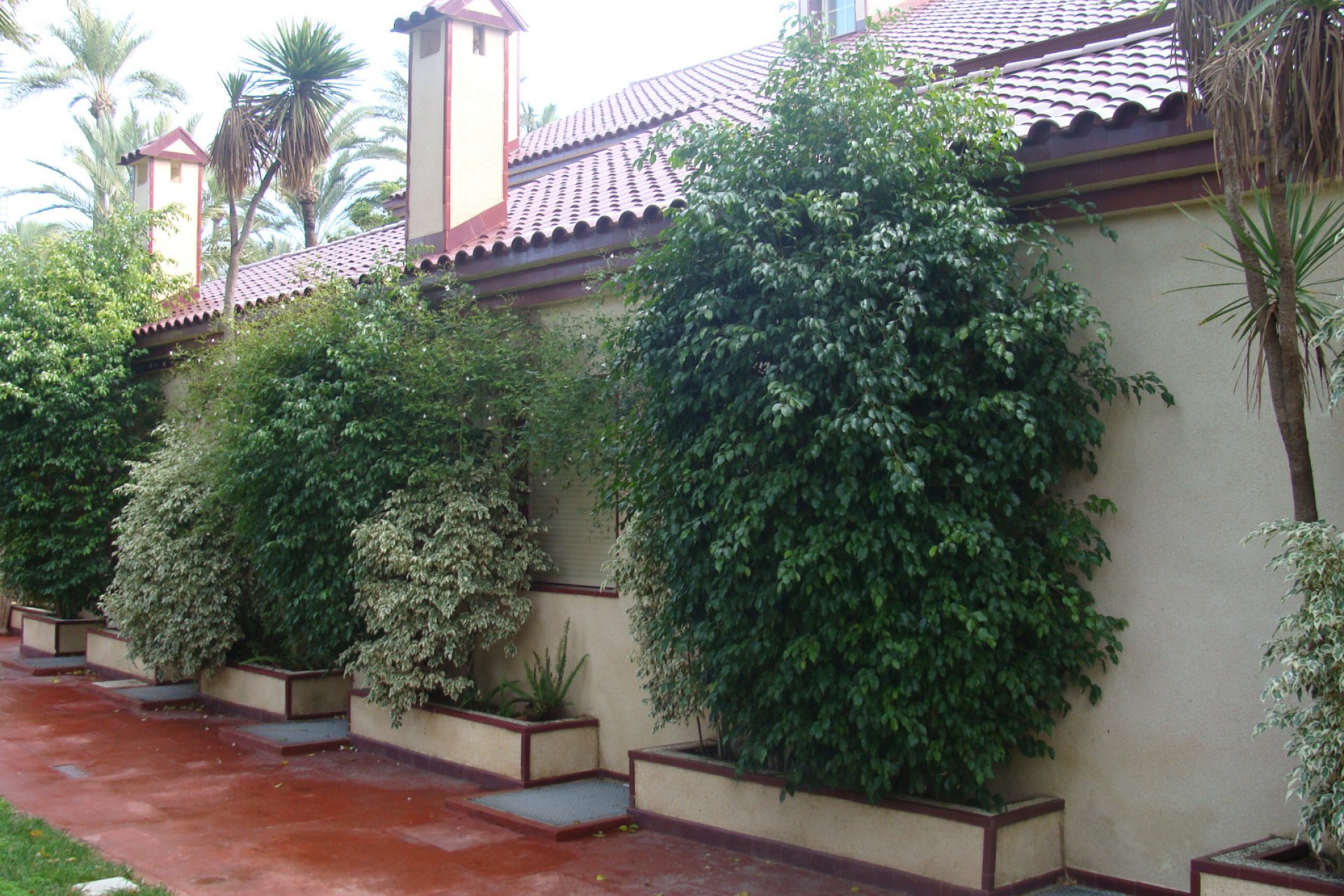 Reventa - Villa - Elche