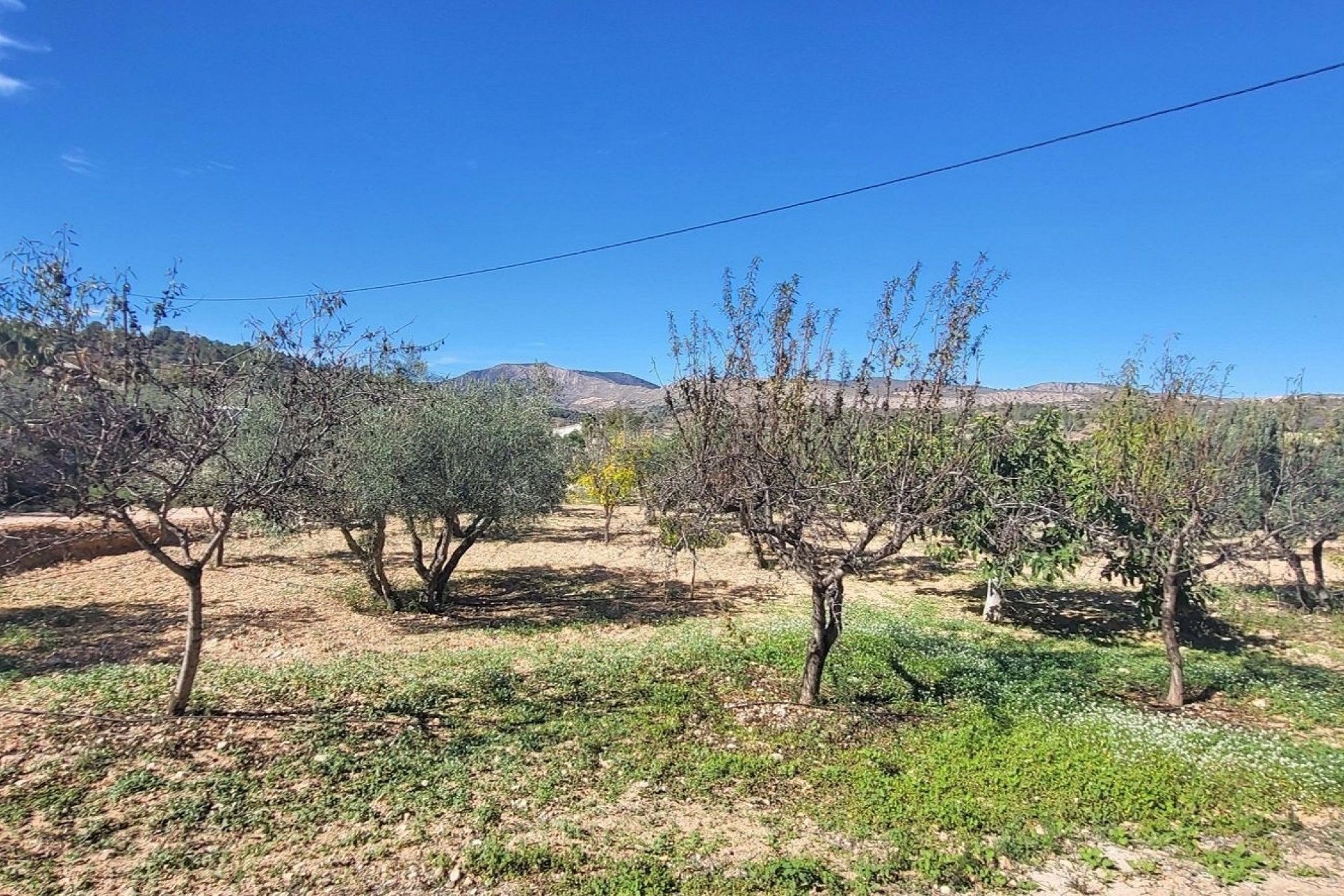 Reventa - Villa - La Romana