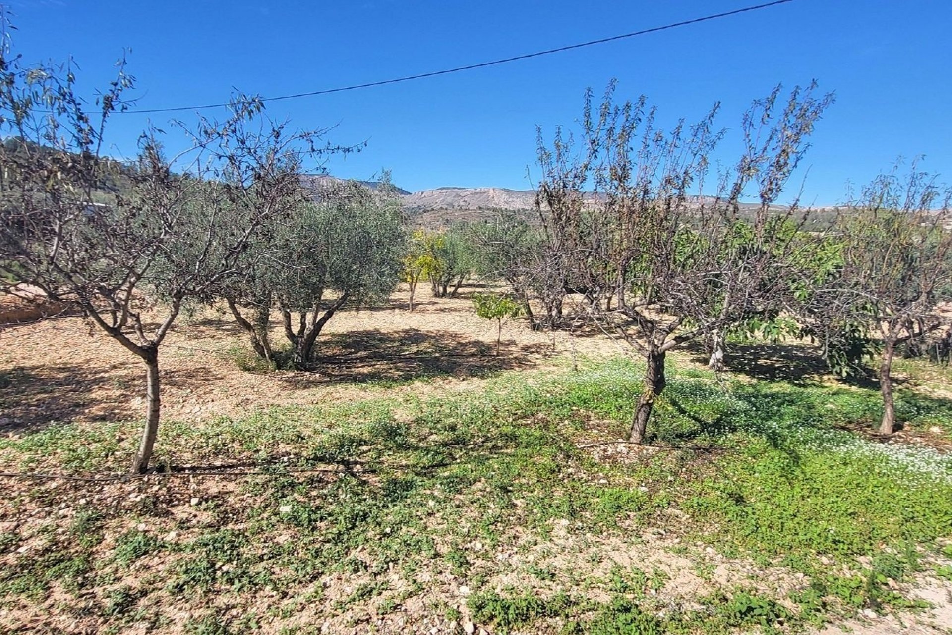 Reventa - Villa - La Romana