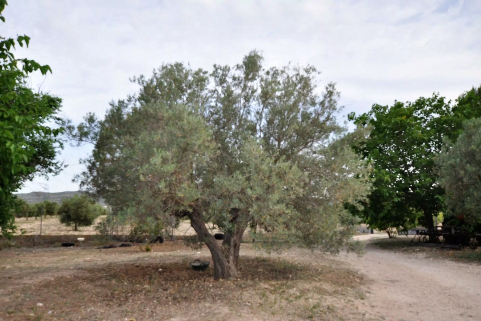 Reventa - Villa - Salinas