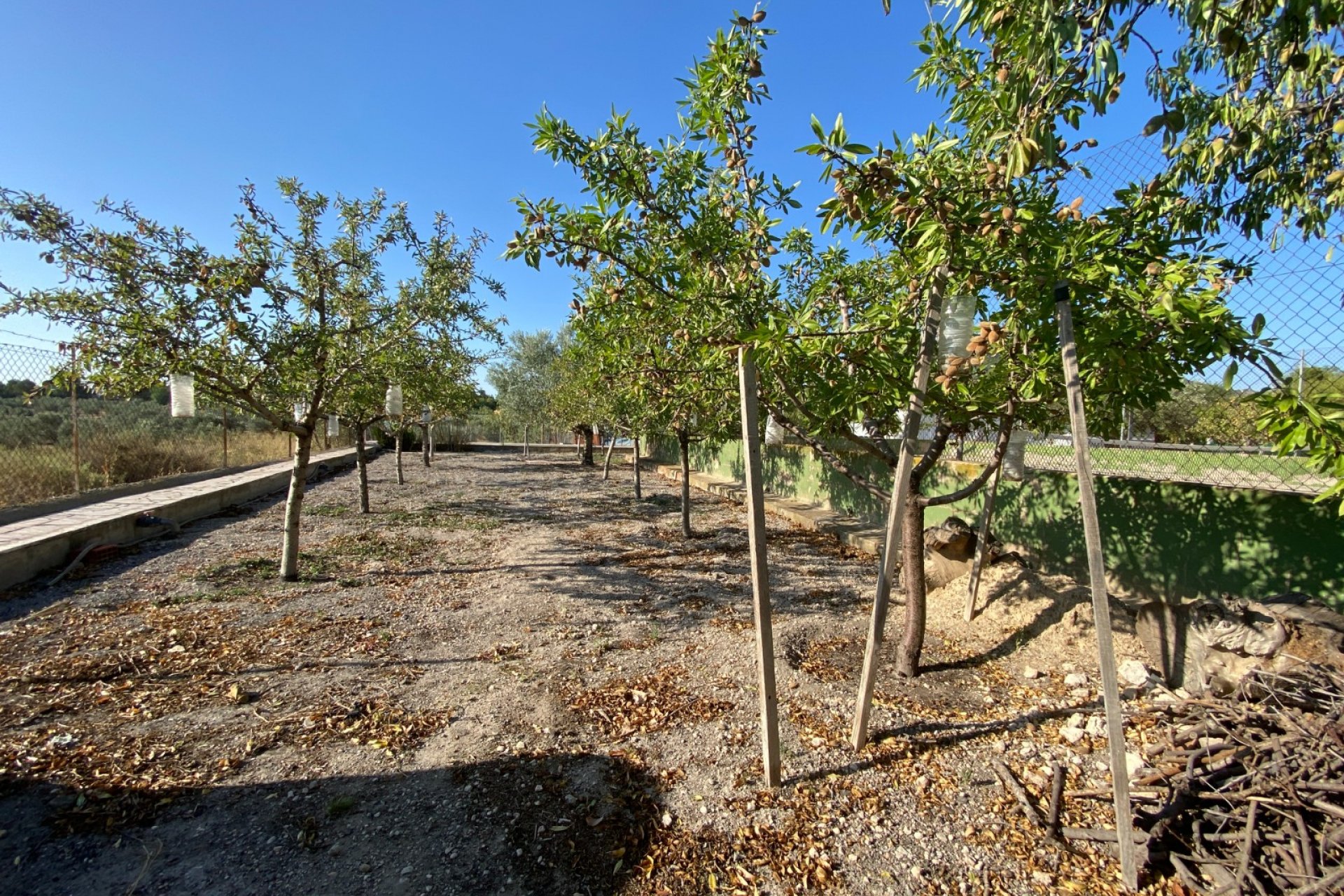 Reventa - Villa - Sax