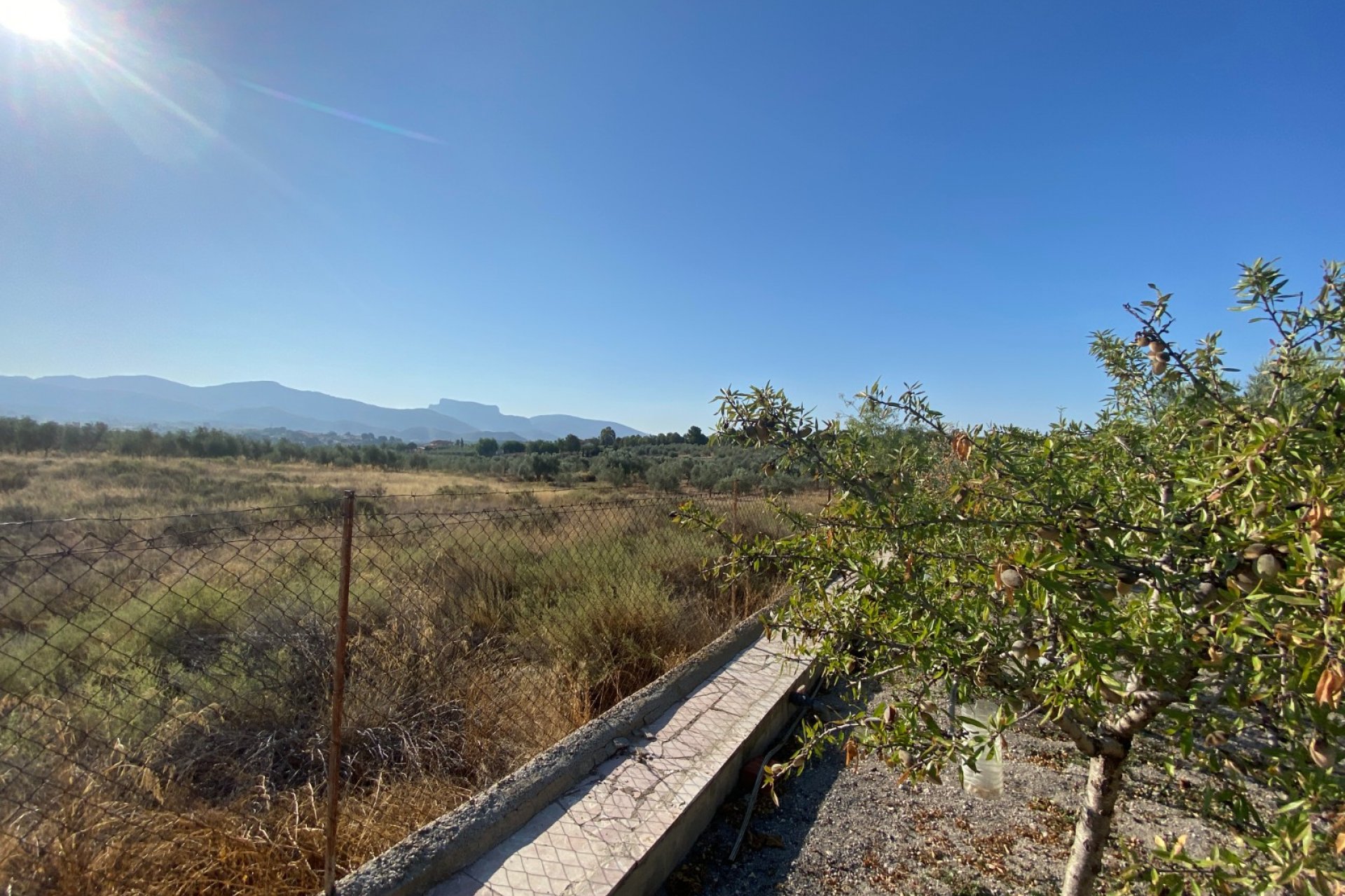 Reventa - Villa - Sax