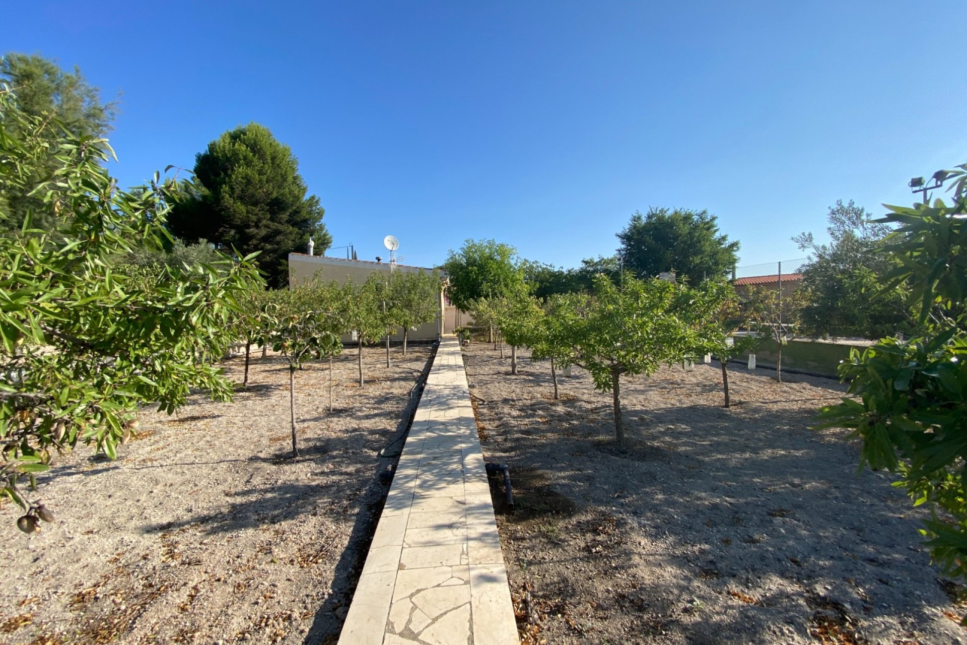 Reventa - Villa - Sax