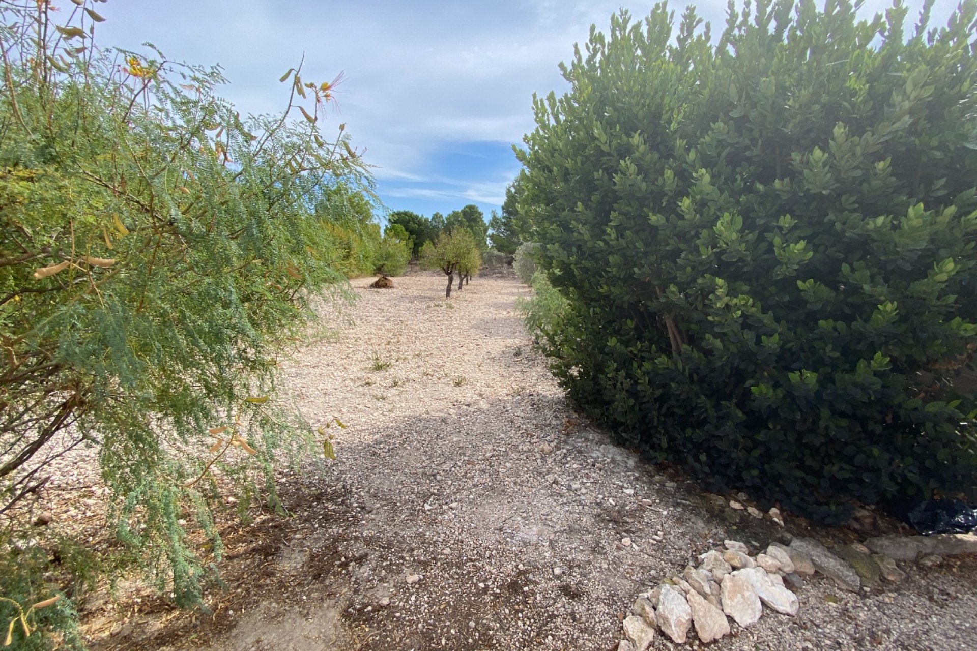 Reventa - Villa - Sax