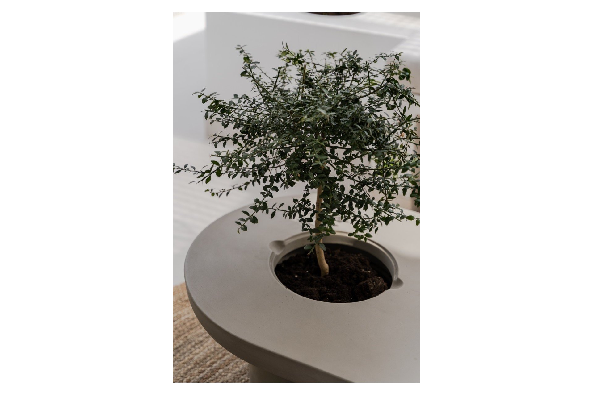 Wiederverkauf - Apartment - Benahavis - La Quinta