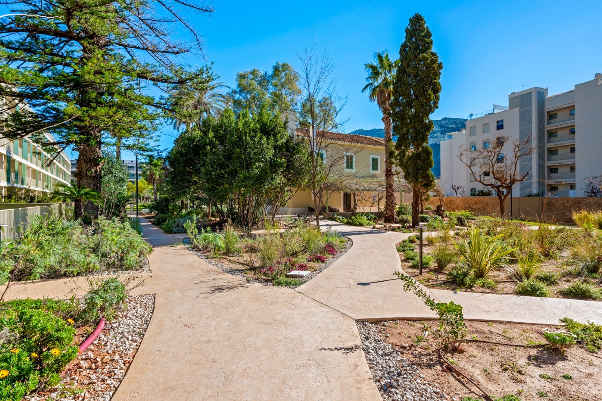 Wiederverkauf - Apartment - Denia - Puerto