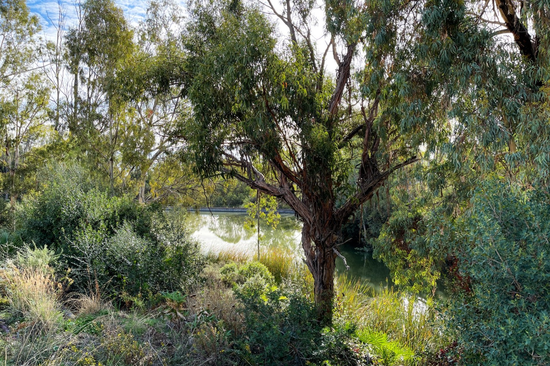 Wiederverkauf - Apartment - Marbella - Nueva Andalucía