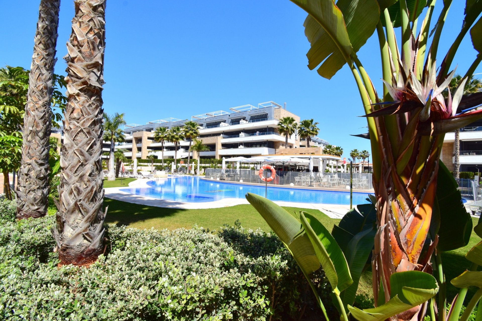Wiederverkauf - Apartment - Orihuela Costa - Playa Flamenca