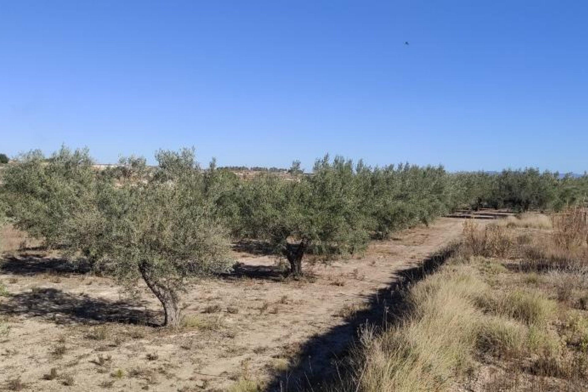 Wiederverkauf - Country House - Agullent