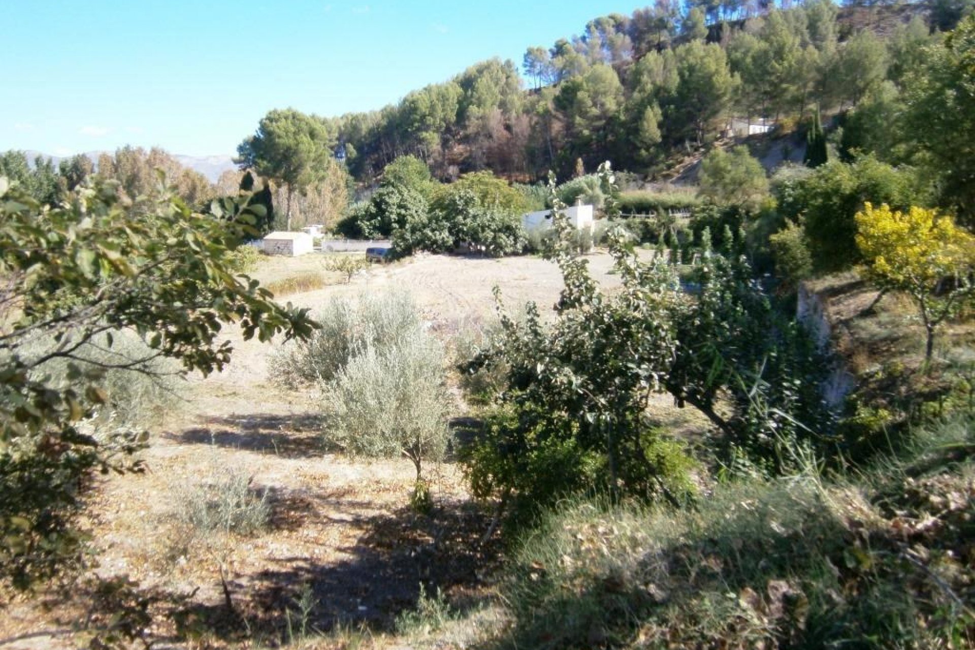 Wiederverkauf - Country House - Cocentaina