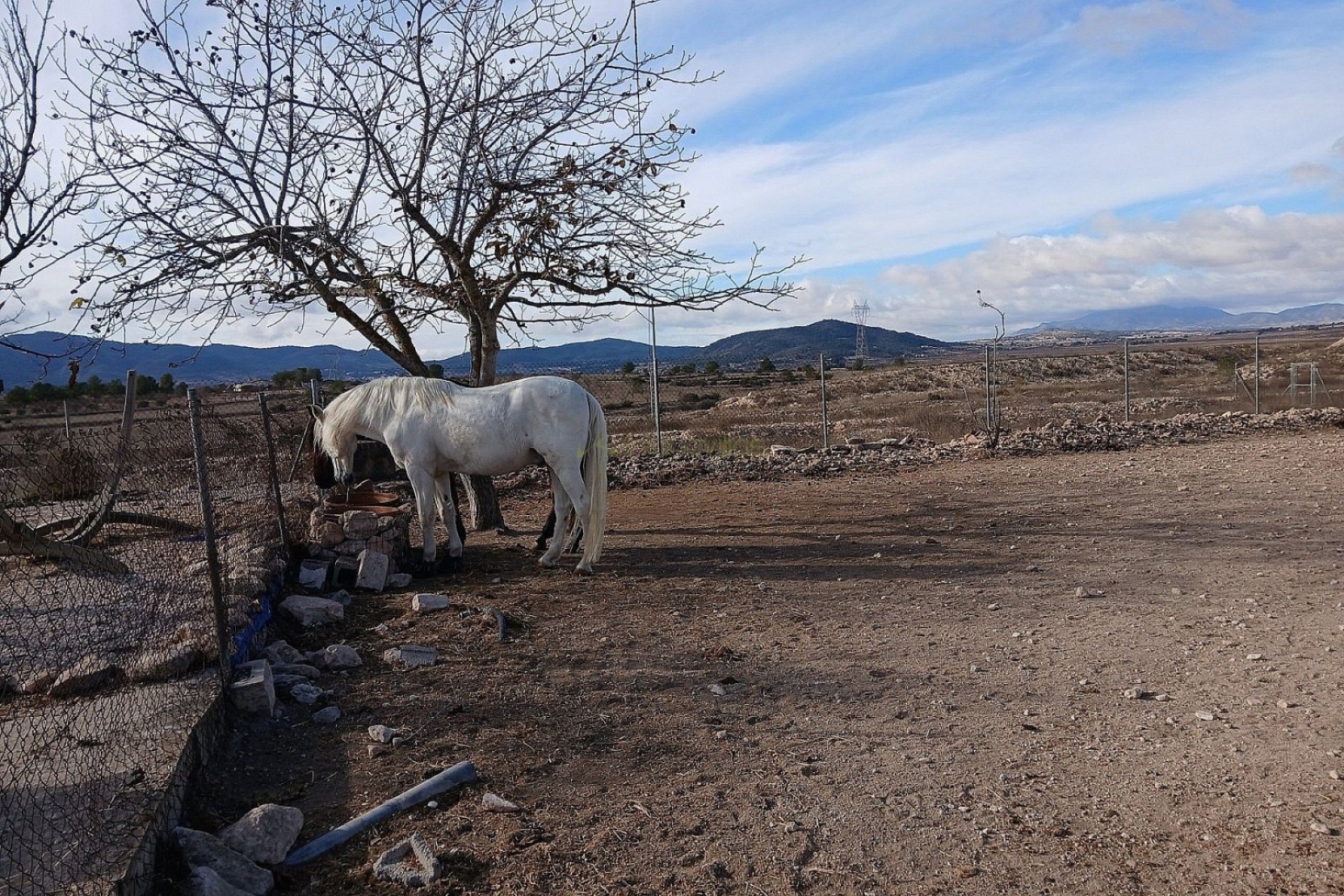 Wiederverkauf - Country House - Monóvar - Monovar