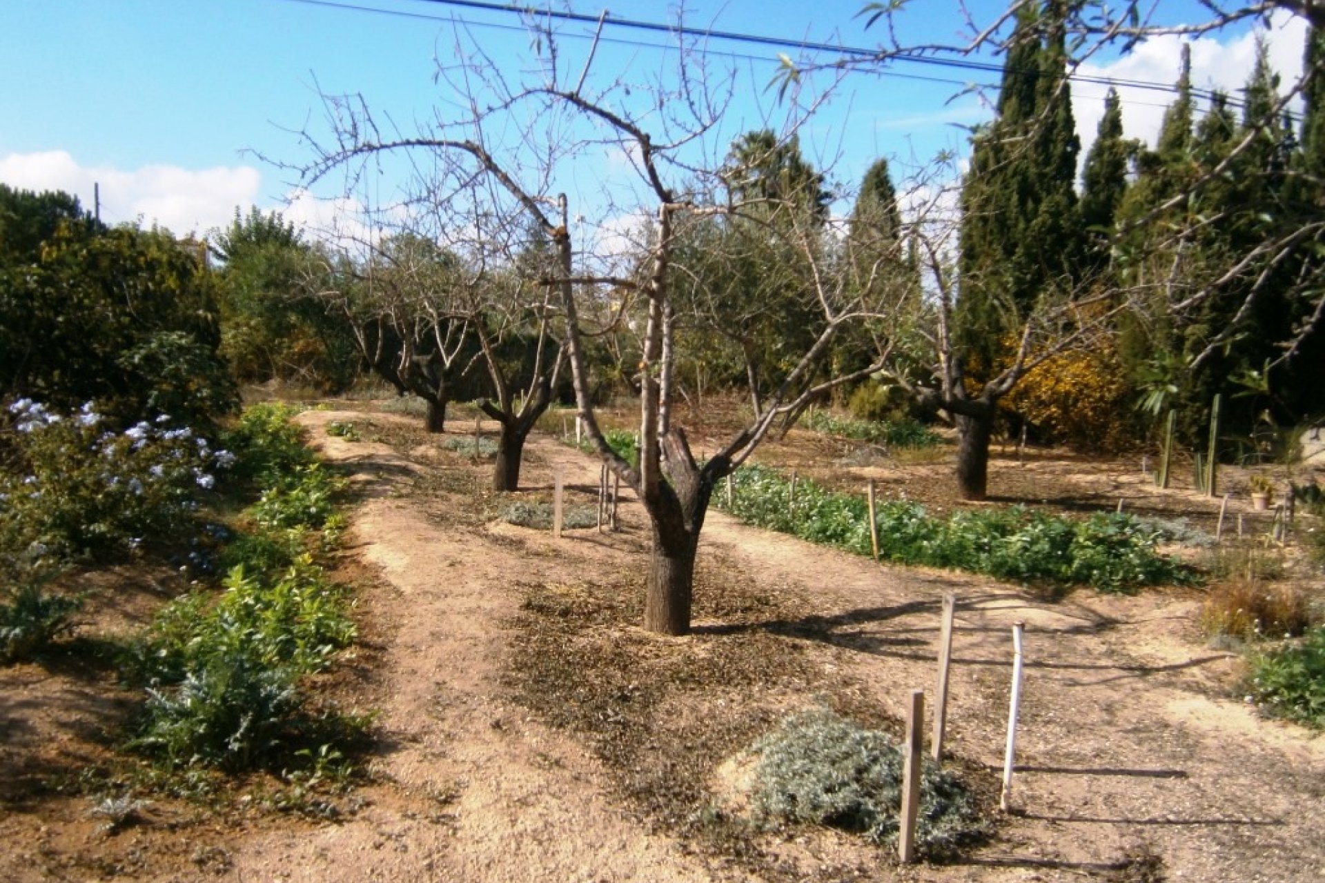 Wiederverkauf - Country House - Ontinyent