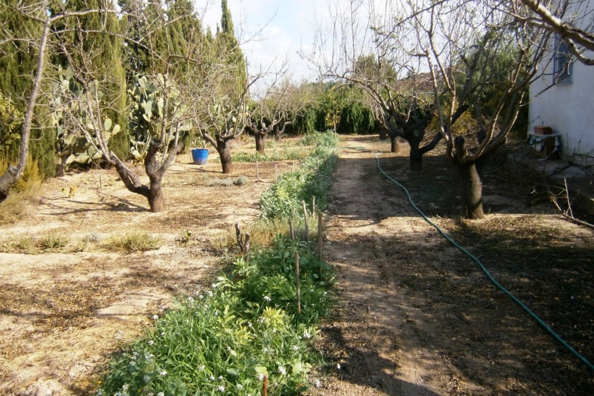 Wiederverkauf - Country House - Ontinyent