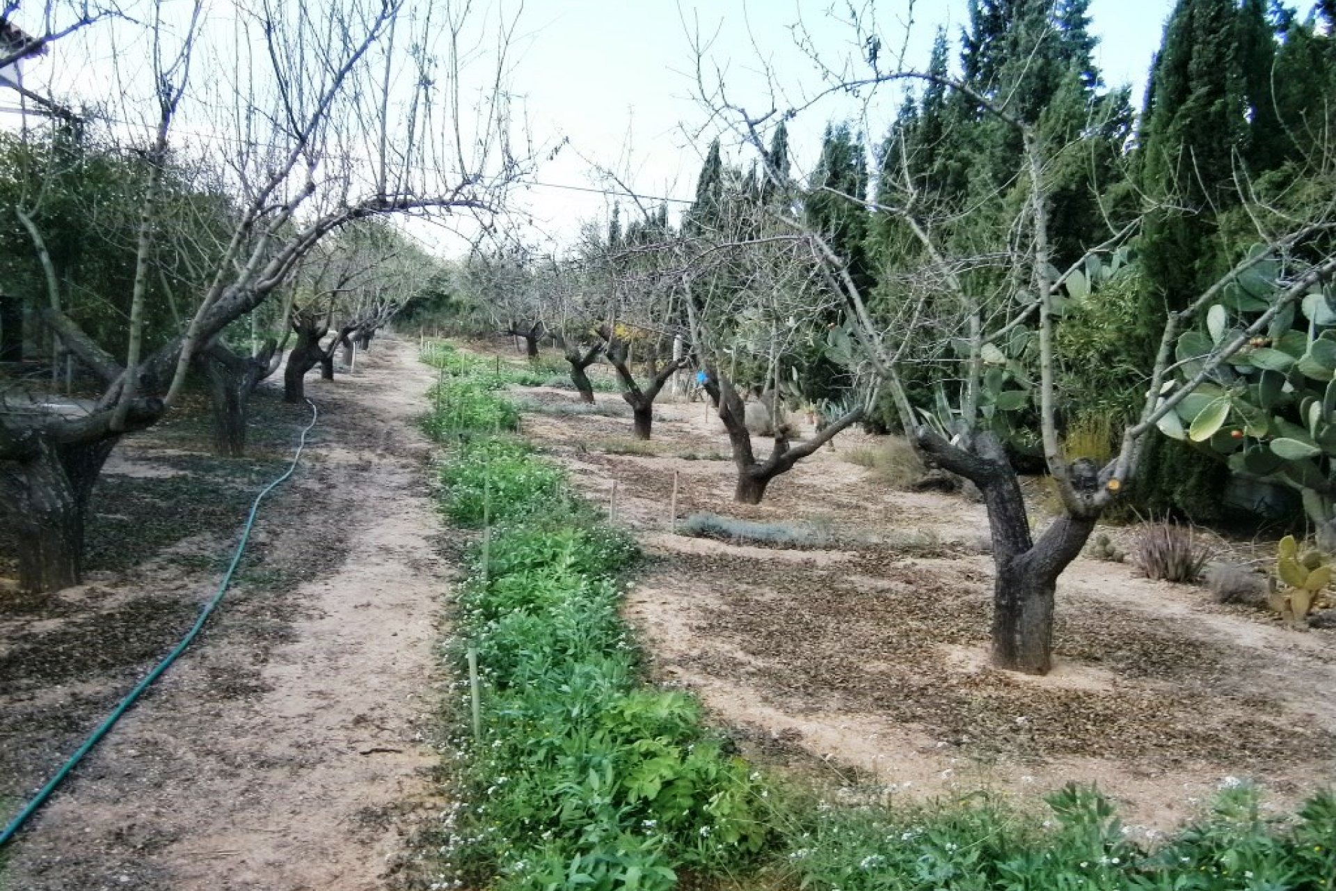 Wiederverkauf - Country House - Ontinyent