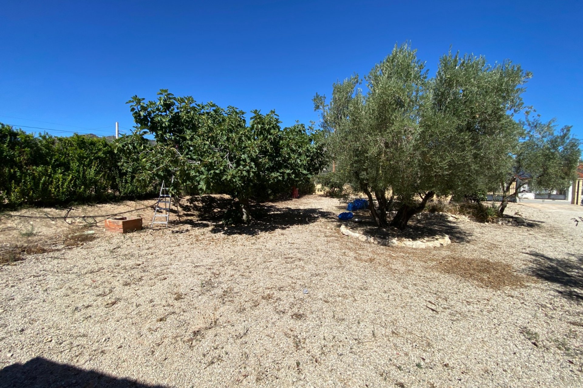 Wiederverkauf - Country House - Salinas