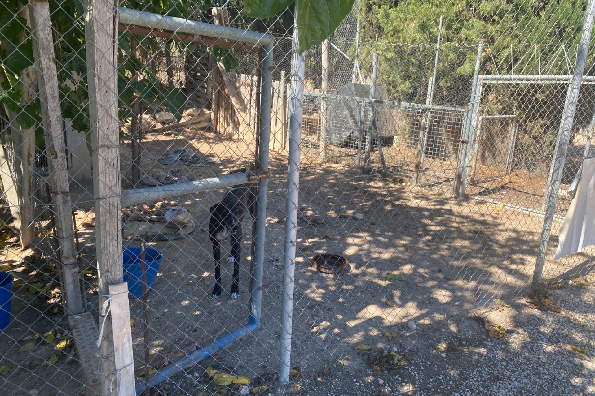 Wiederverkauf - Country House - Salinas