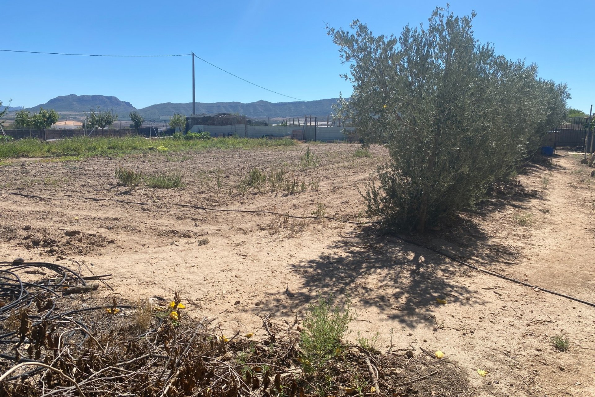 Wiederverkauf - Country House - Salinas