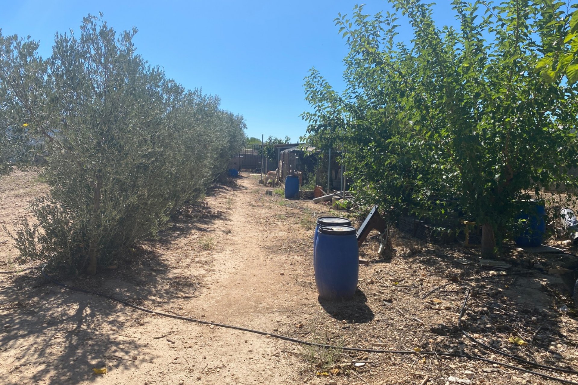 Wiederverkauf - Country House - Salinas