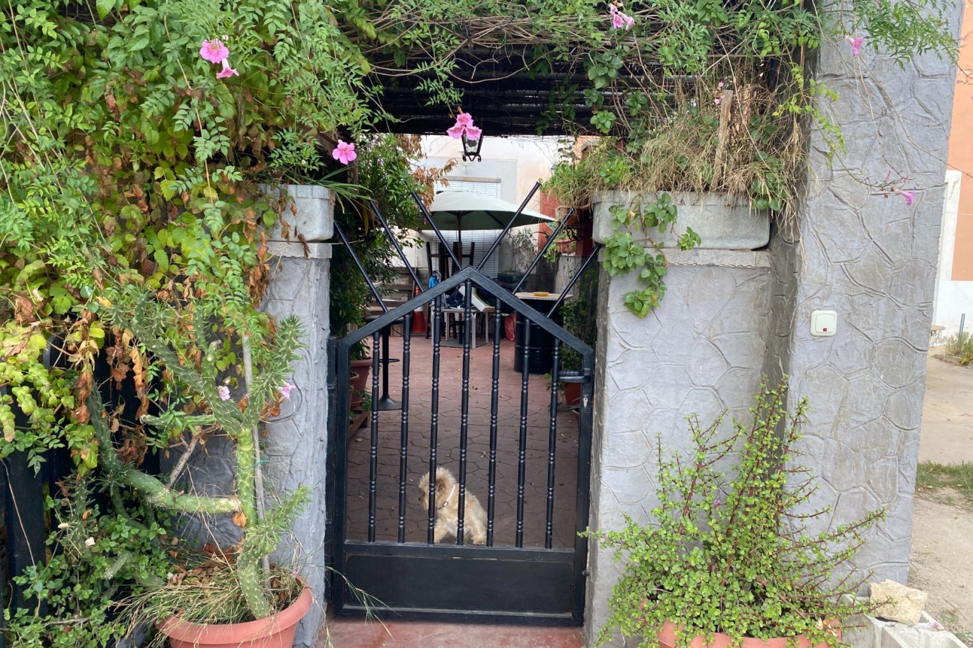 Wiederverkauf - Country House - Sax