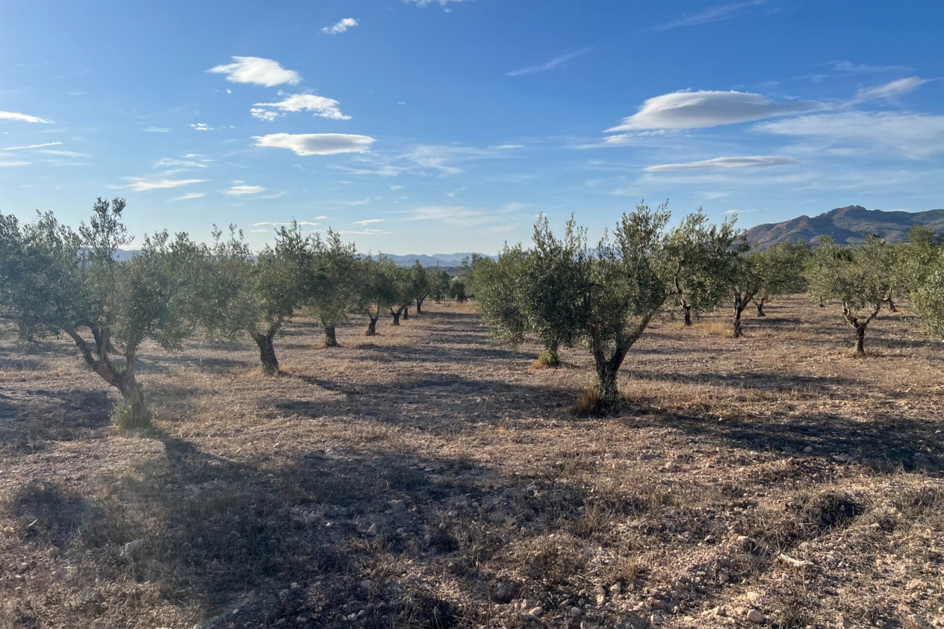 Wiederverkauf - Finca/Rustic Property - Sax