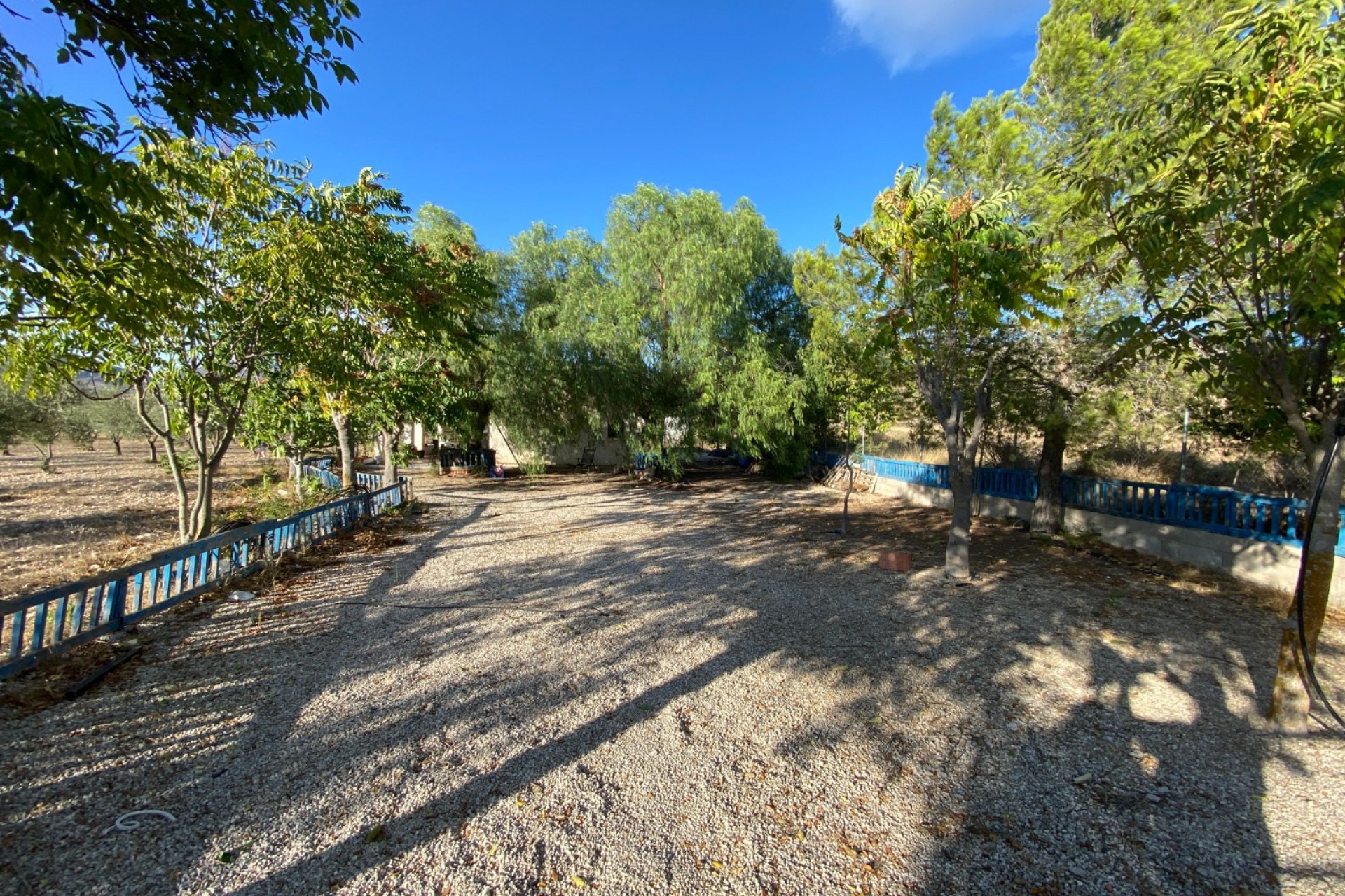 Wiederverkauf - Finca/Rustic Property - Sax